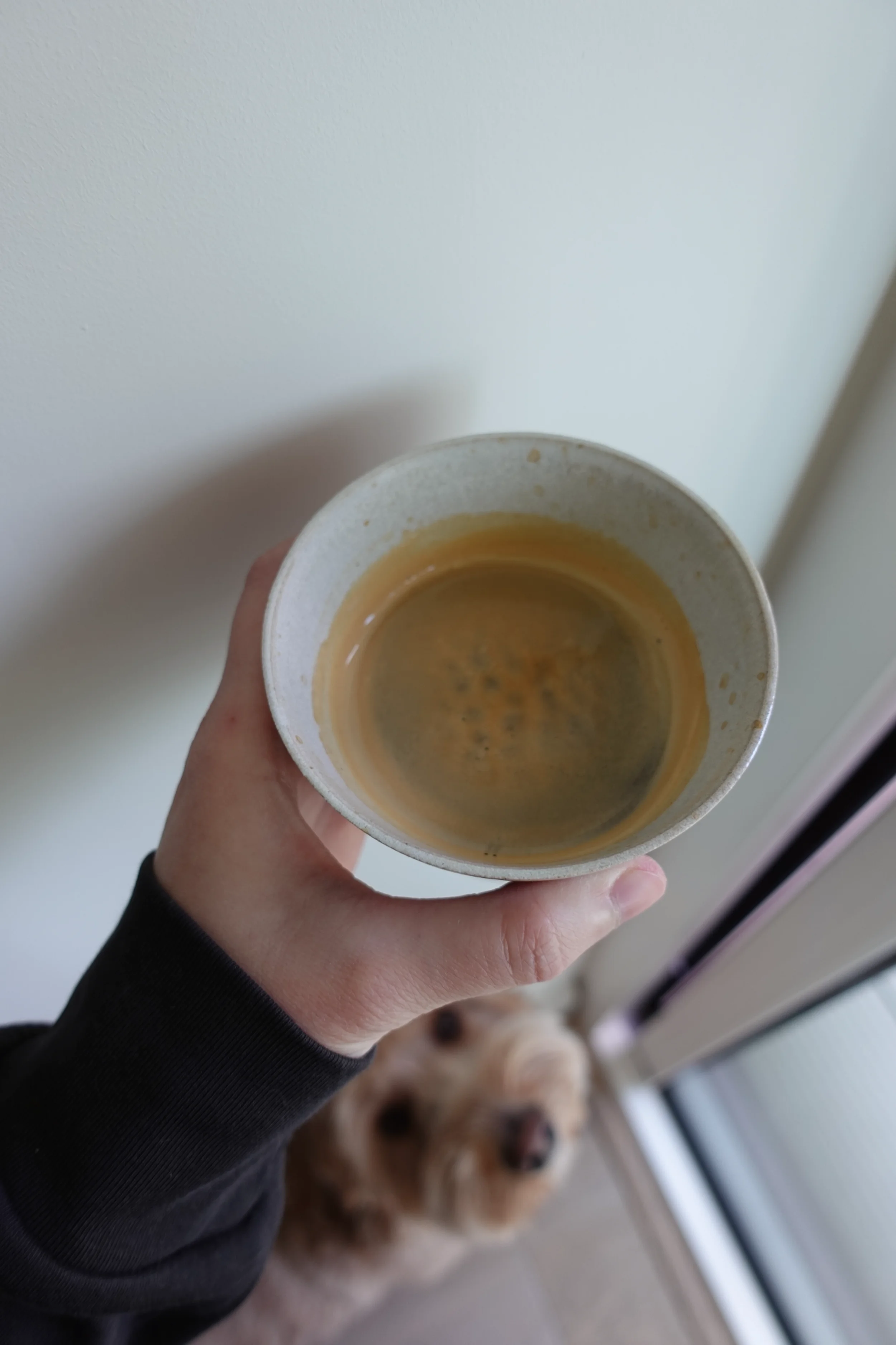 Raw On Palms Ceramics – Japanese-inspired London Ceramist with Dog