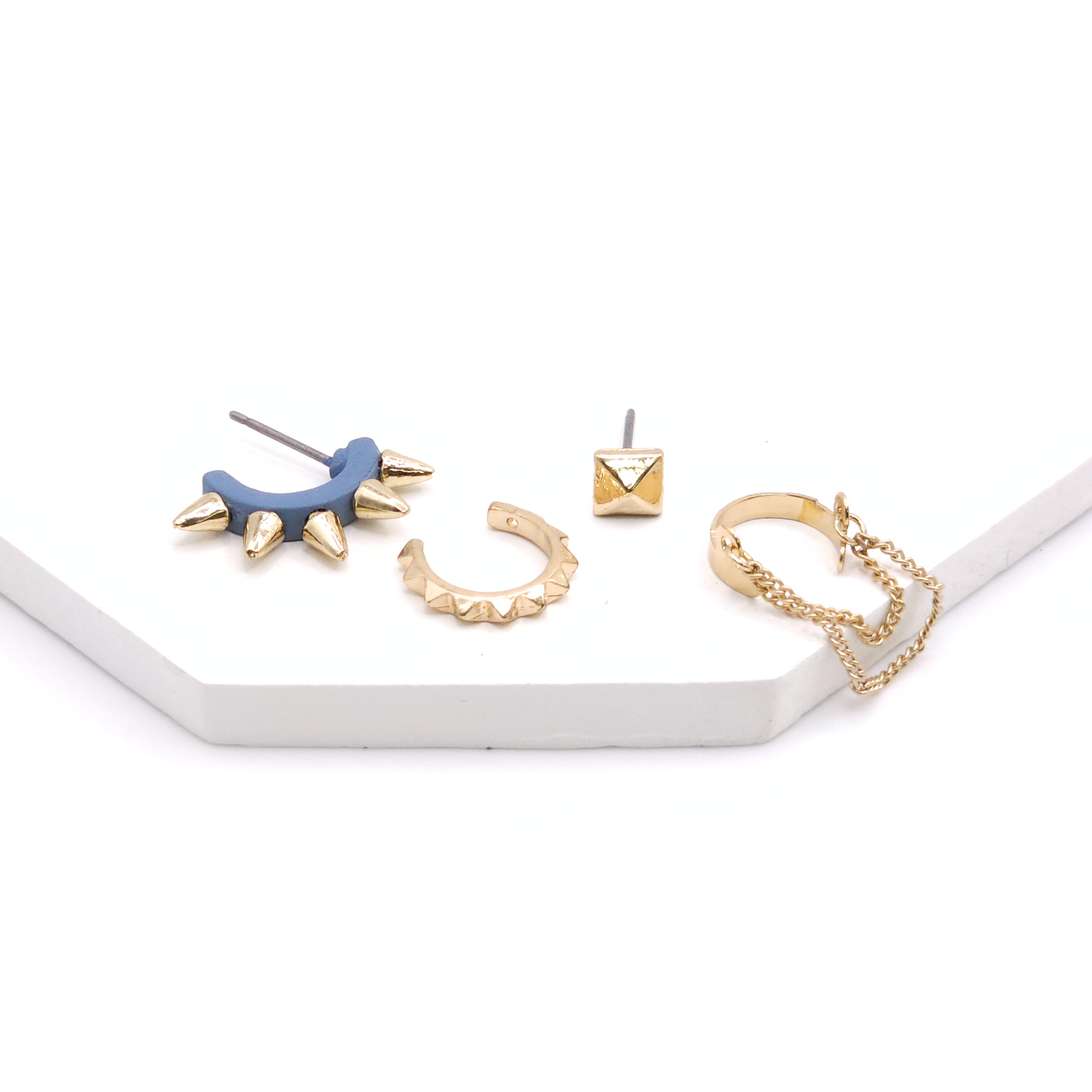 Earrings