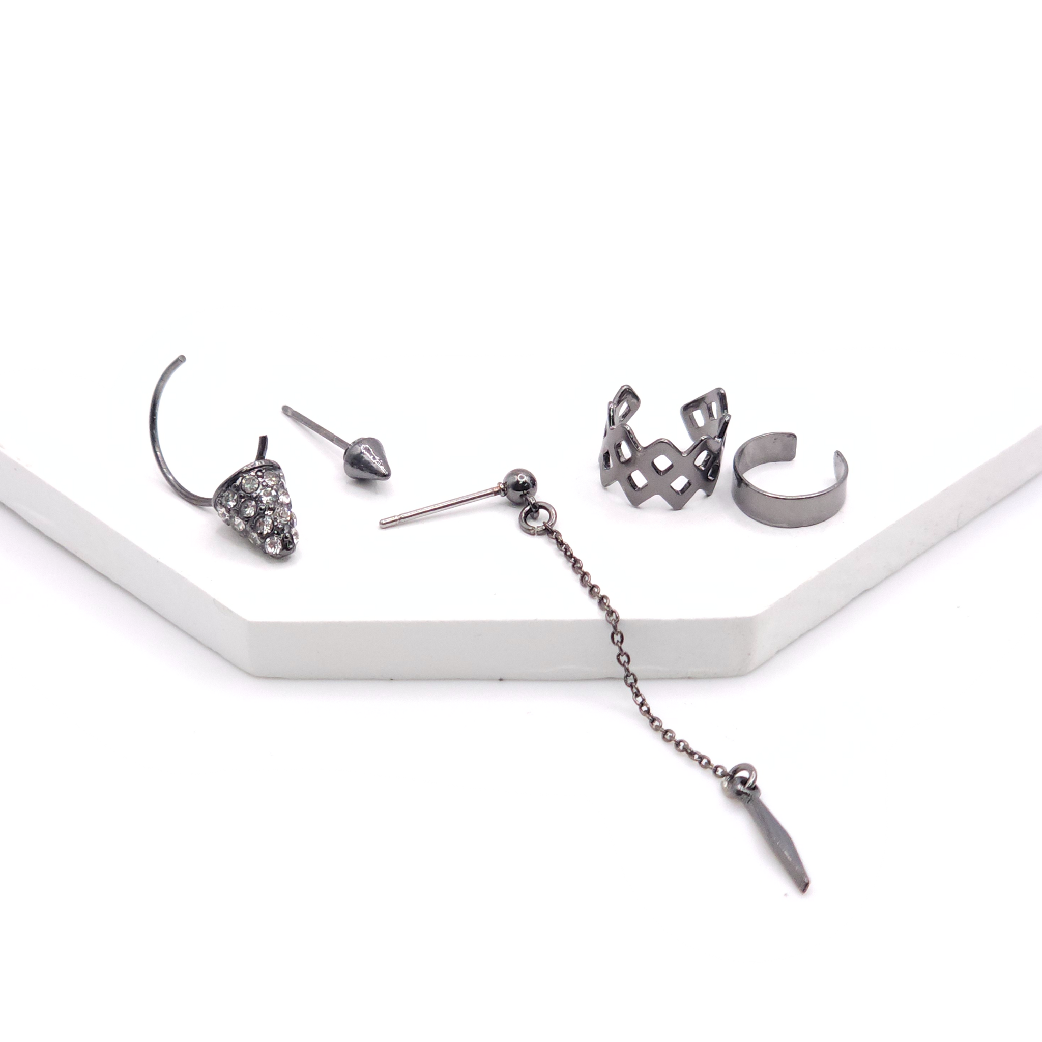 Earrings