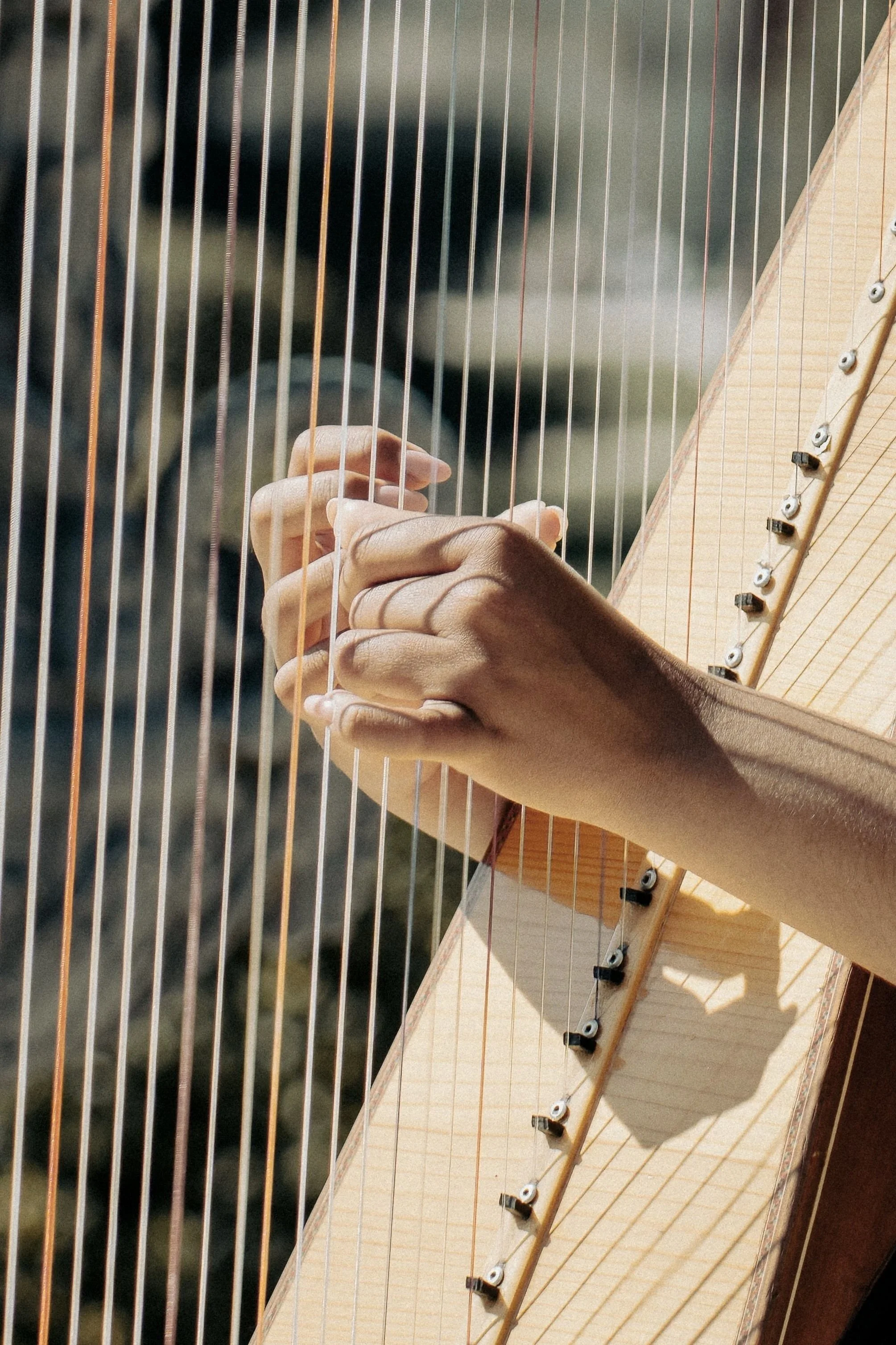 Close-up of a person playing a harp, with focus on their hands plucking the strings and the body of the harp.