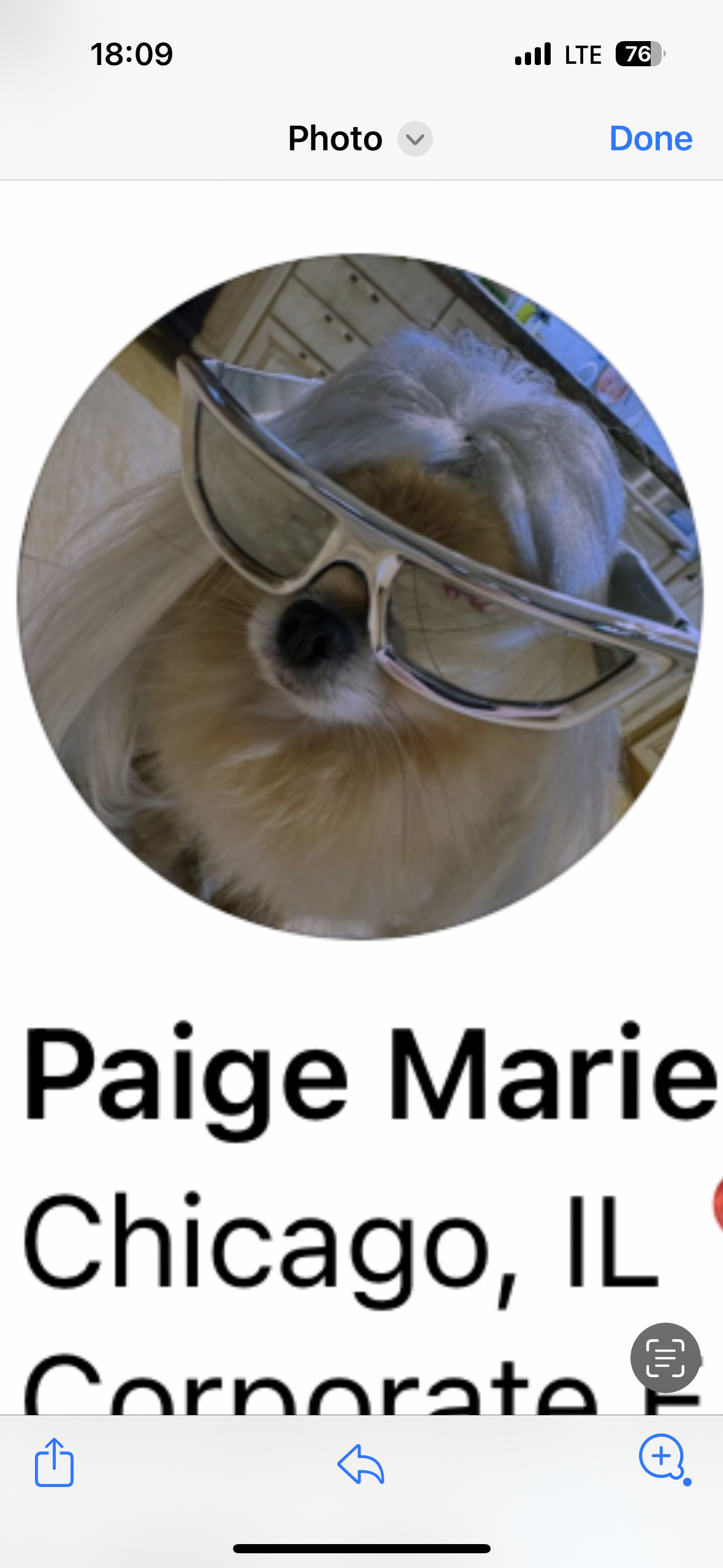 IMG_3807.PNG