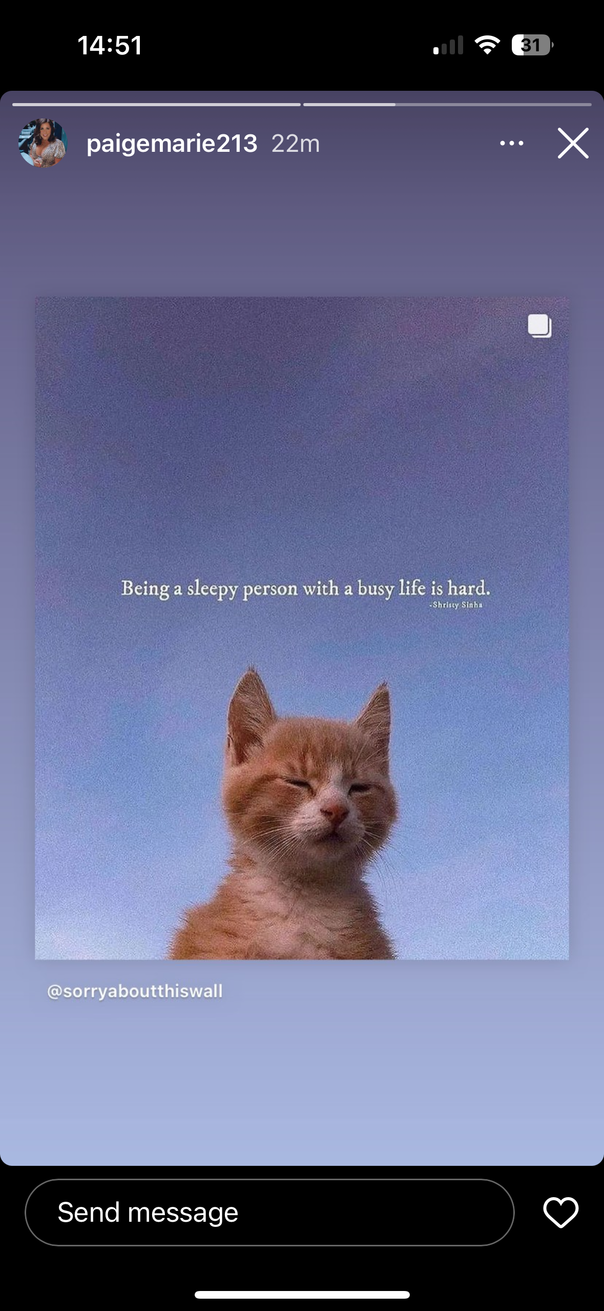 IMG_9694.PNG