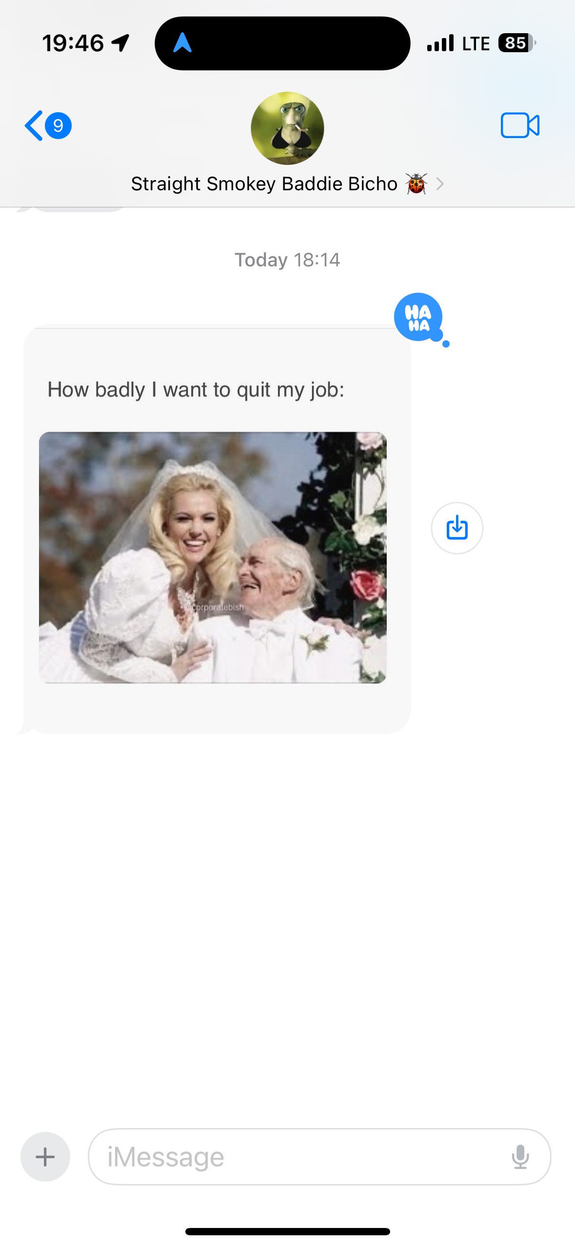 IMG_5178.PNG