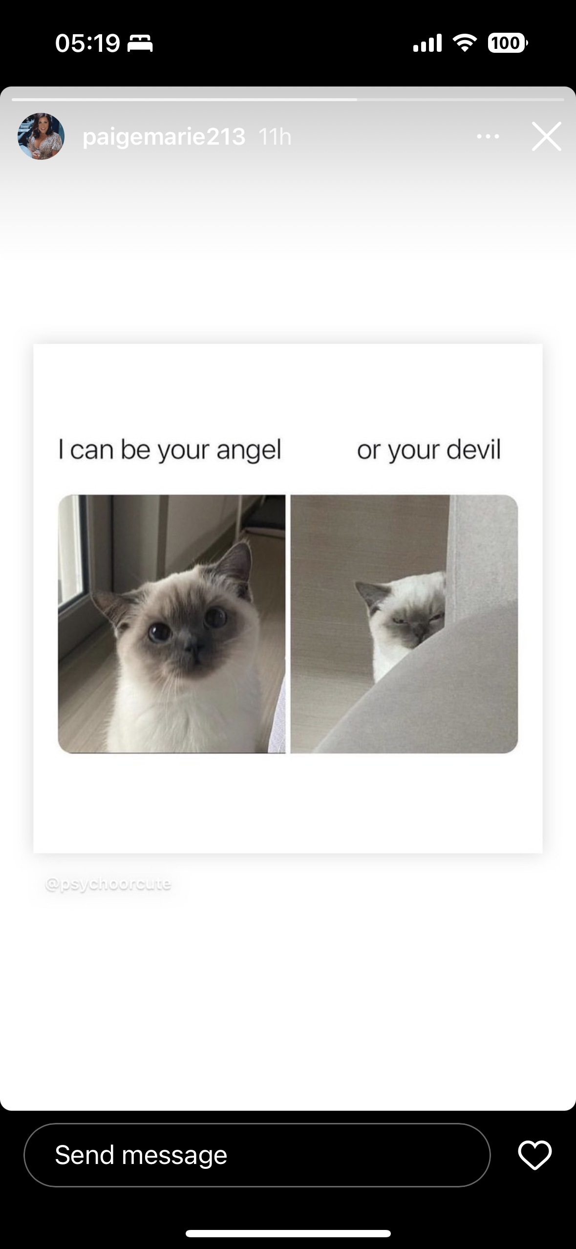 IMG_7694.PNG