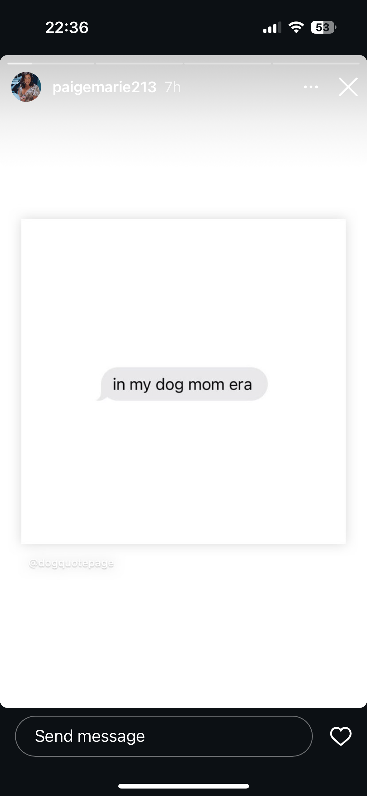 IMG_2924.PNG