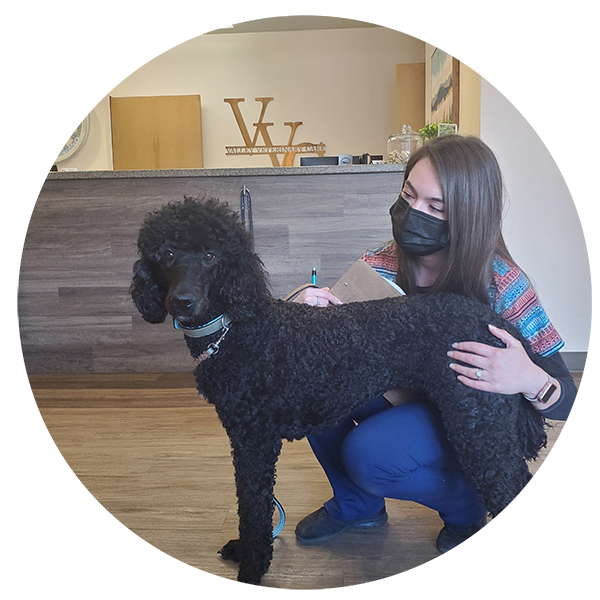 A woman wearing a black mask kneeling beside a large curly-haired black dog in an indoor setting, with a reception desk and wall decor in the background.