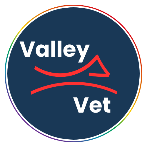 Valley Veterinary Care