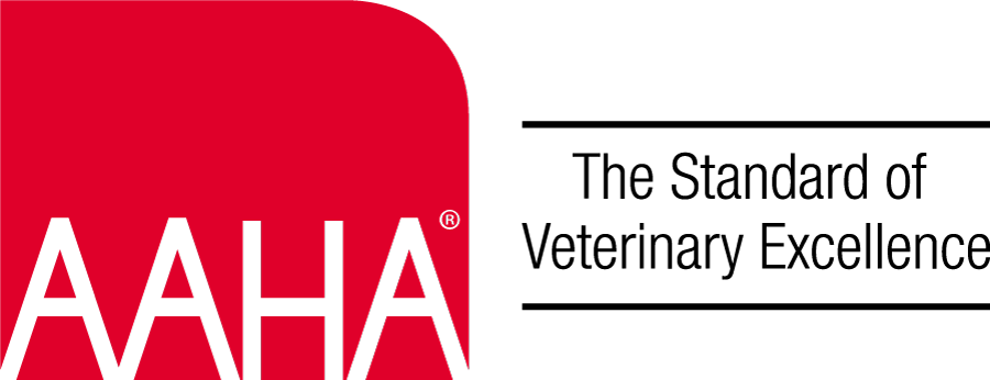 The Aloha logo in red with black text, featuring a stylized heart in the background.