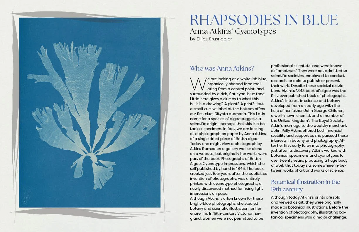Blue-toned botanical illustration of a sea fern or plant in a cyanotype style on the left side of the page.