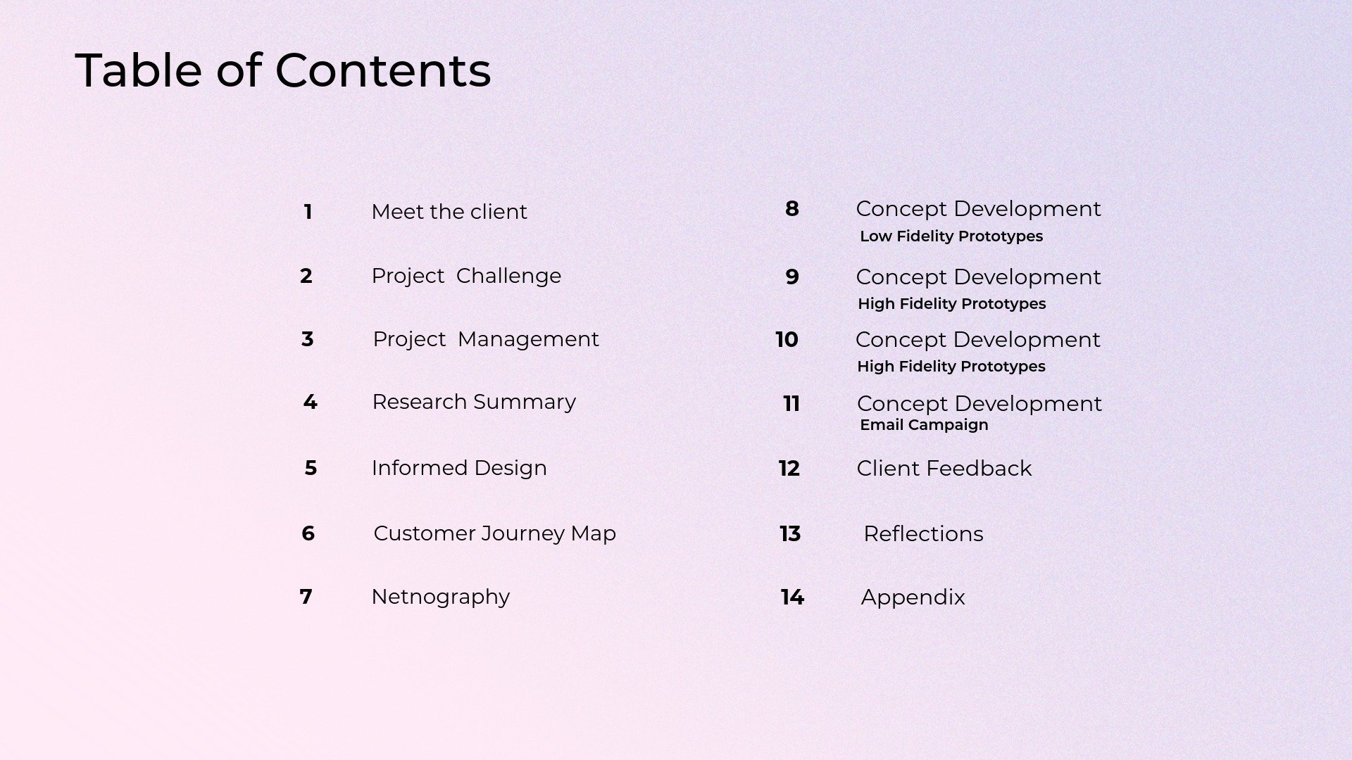 Table of contents with numbered sections covering topics like meet the client, project challenge, project management, research summary, informed design, customer journey map, netnography, concept development, email campaign, client feedback, reflections, and appendix.