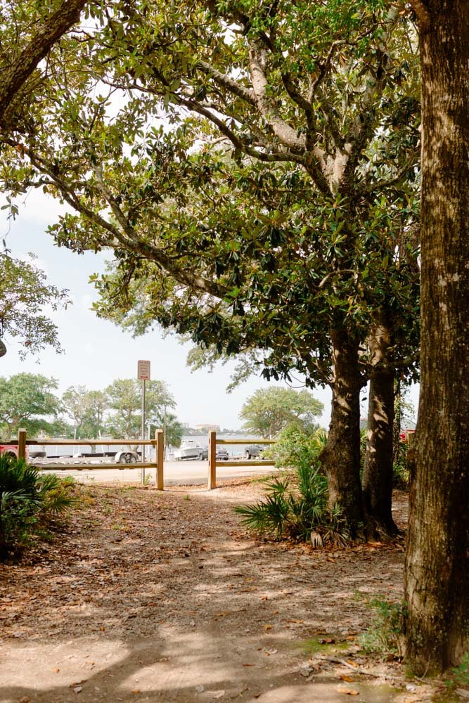 Trees and plants along a dirt path leading to a parking lot with cars, a wooden fence, and a 'No Parking' sign.
