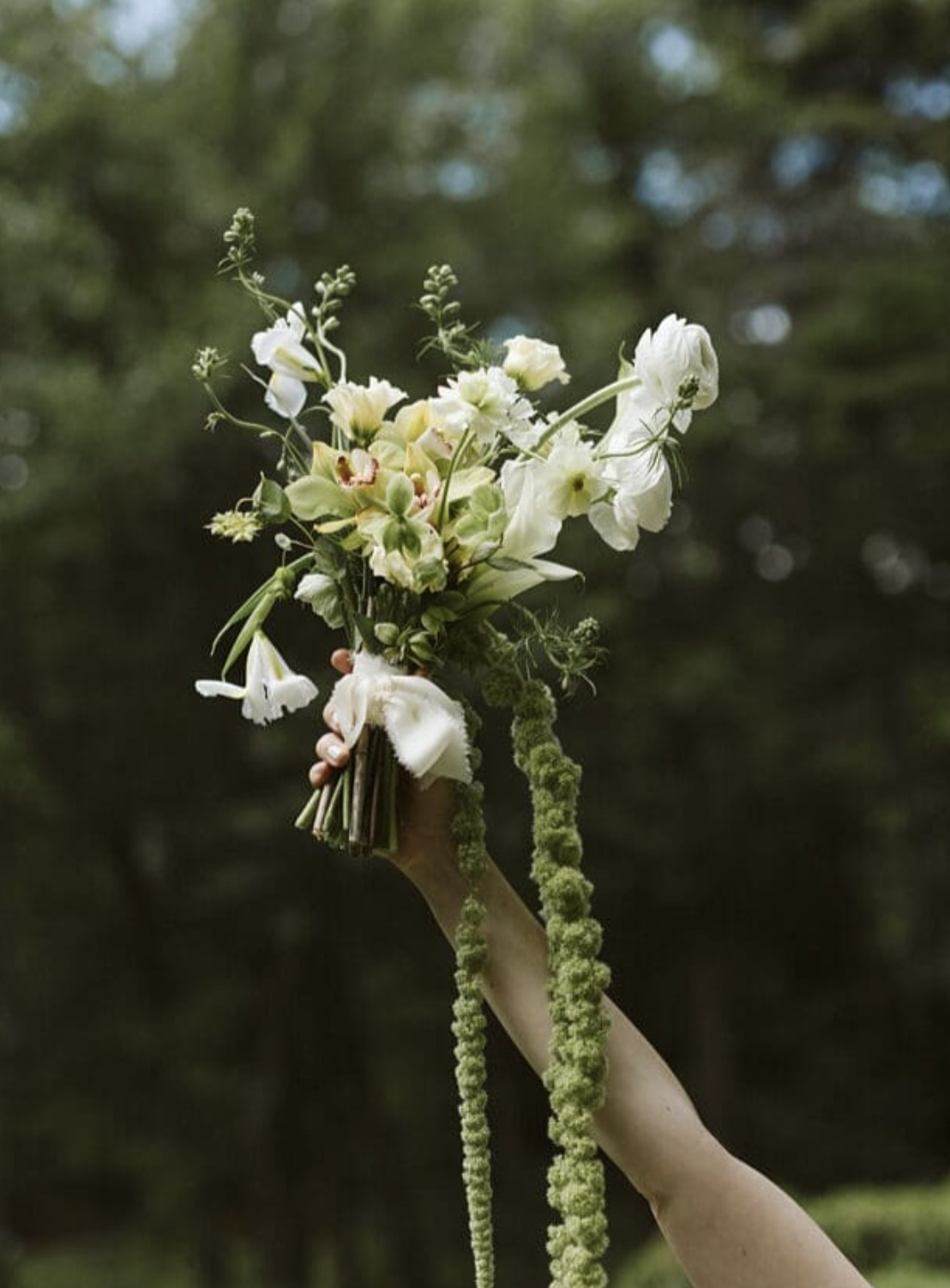 A hand holding a bouquet of white flowers outdoors with a blurred green background.