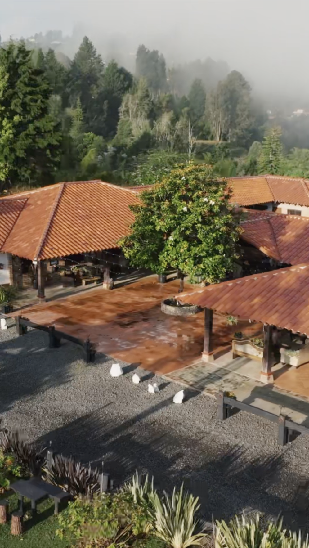 A scenic outdoor view of a patio area with terracotta tiled roofs, surrounded by lush green trees and mountains in the background, with fog or mist partially covering the trees.