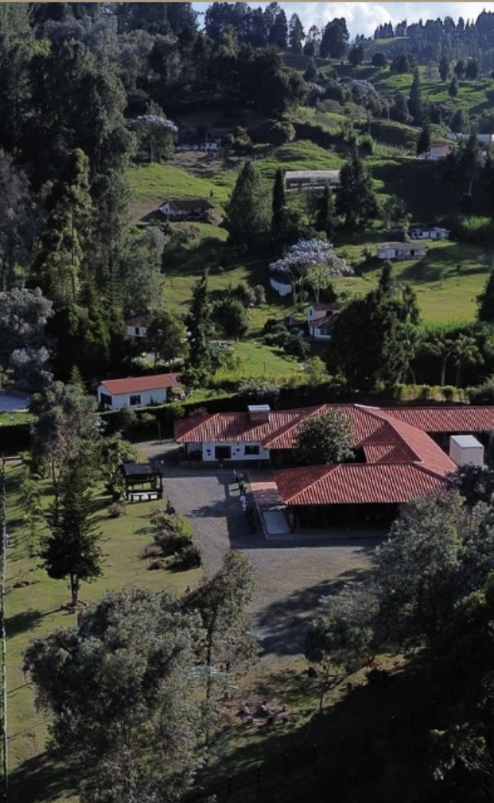 A scenic view of a hillside with multiple houses and lush greenery, including trees and flowering plants.