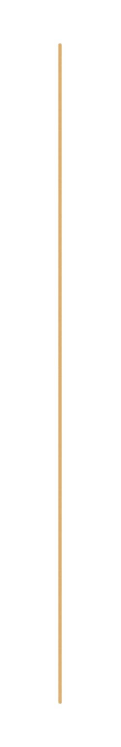 A vertical wooden stick with a pointed end, standing upright against a black background.