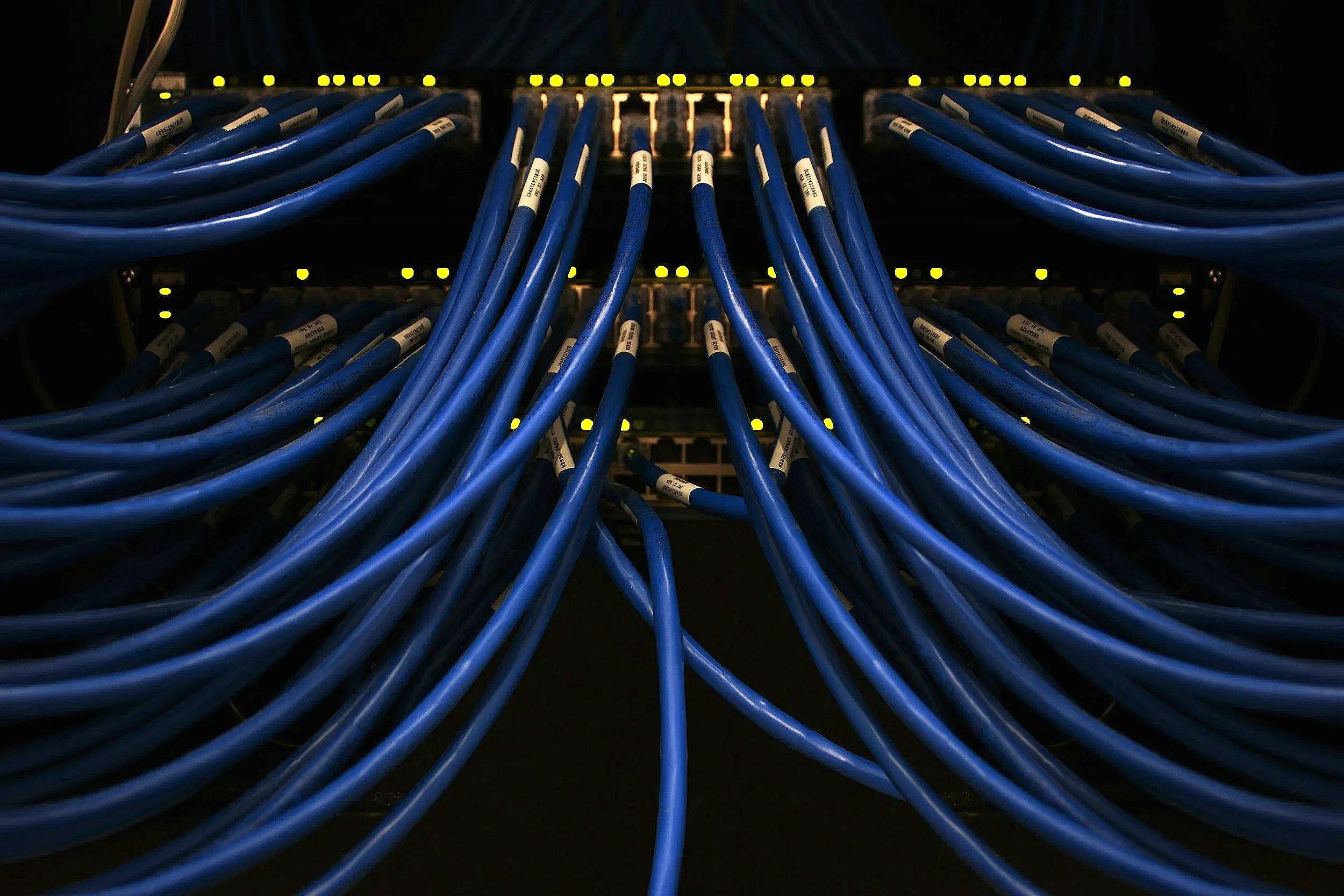 Bündel blauer Netzwerkkabel in einem Serverraum oder Netzwerkraum.