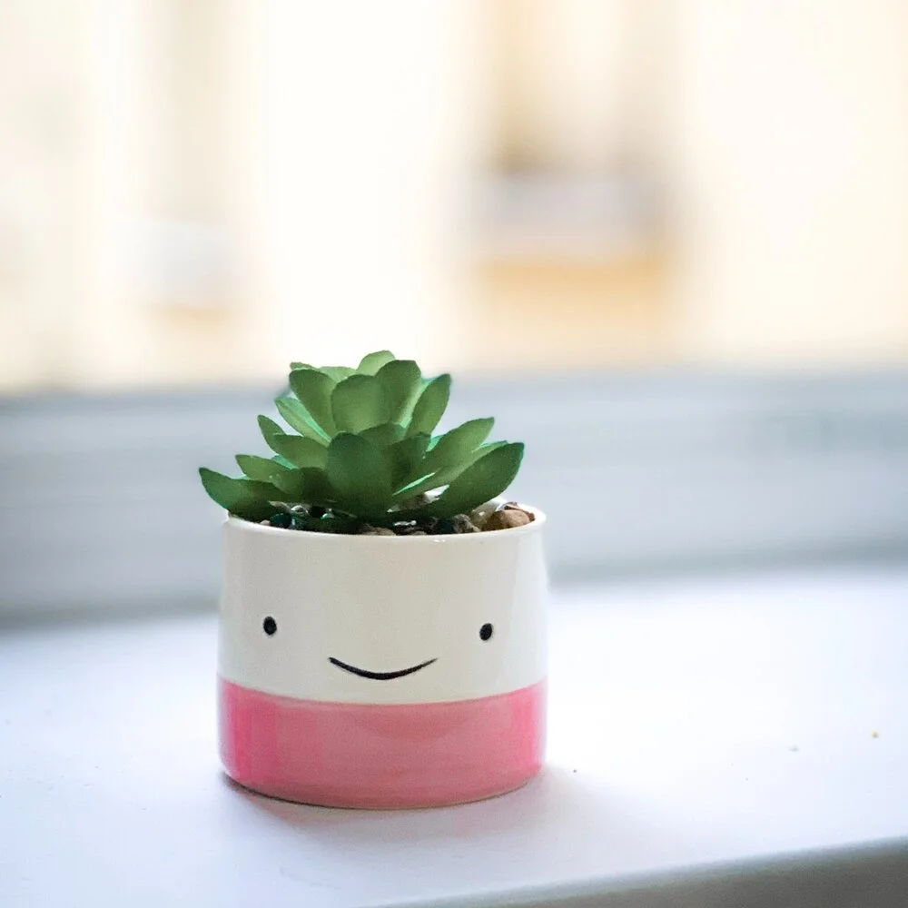 A small potted succulent in a white planter with a pink bottom and a smiling face, placed on a white surface near a window.