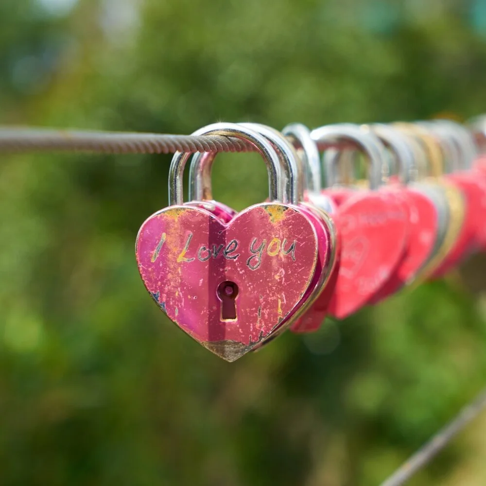 Pink heart-shaped lock with 'I Love You' written on it, attached to a metal wire among other locks, outdoors with a blurred green background.