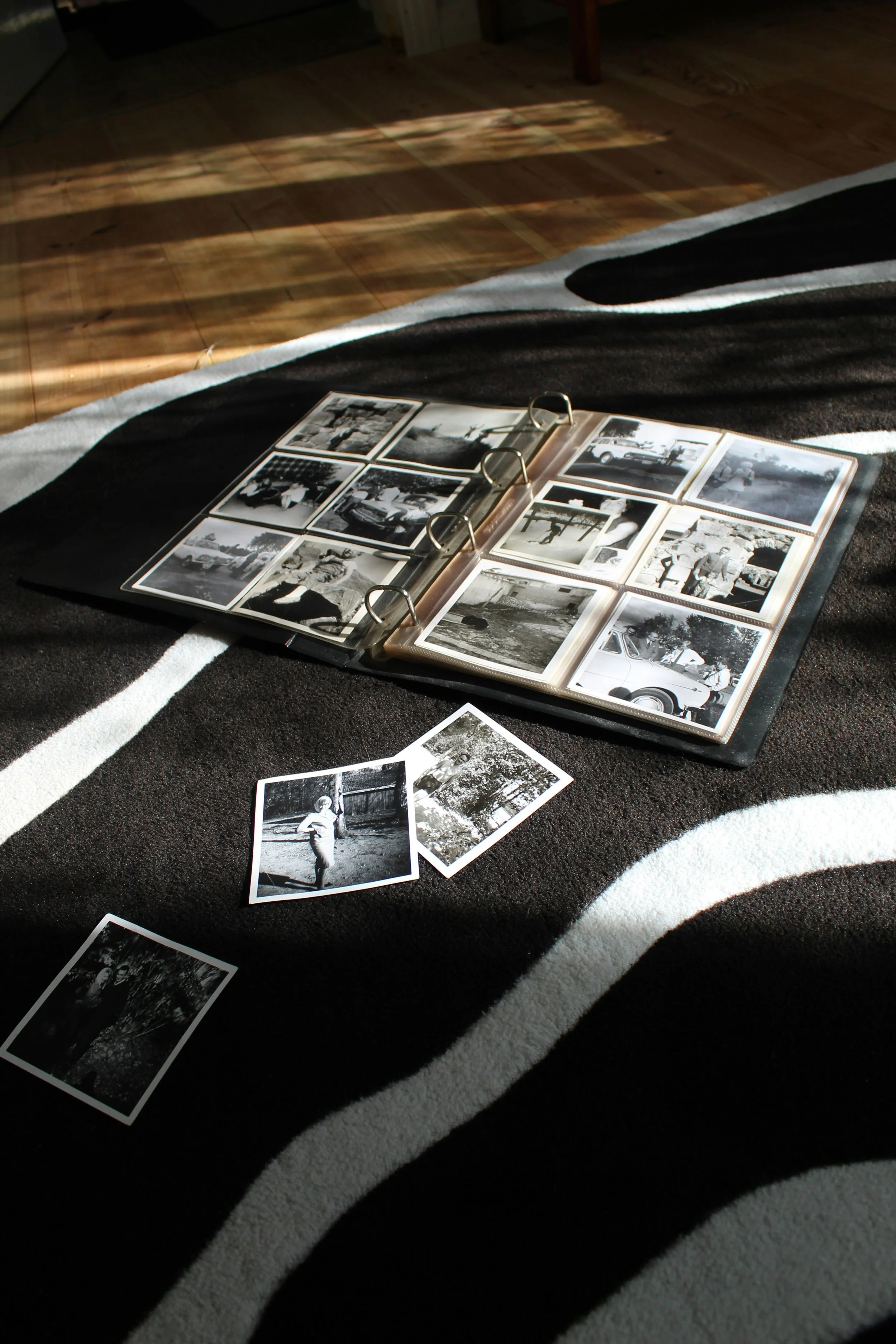 A black photo album containing black and white photographs is open on a black and white striped rug, with some photographs scattered around it. Sunlight streams in, casting shadow patterns across the scene.
