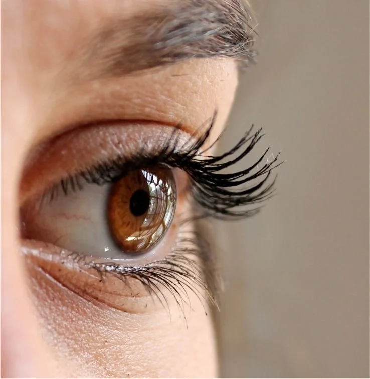 Close-up of a person's eye with brown iris, long eyelashes, and reflected window in the cornea.