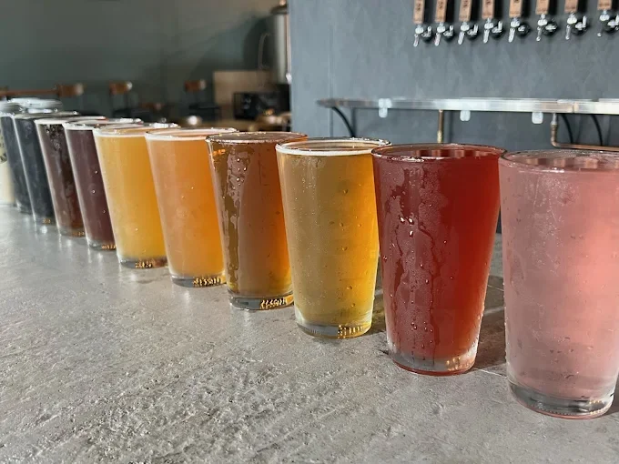 Row of colorful beer samples in small glasses on a bar counter.