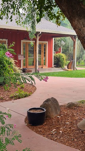 Front of a house with a red exterior, wooden doors with glass panels, surrounded by greenery, a large tree, a curved concrete walkway, a black garden pot, and a rock.