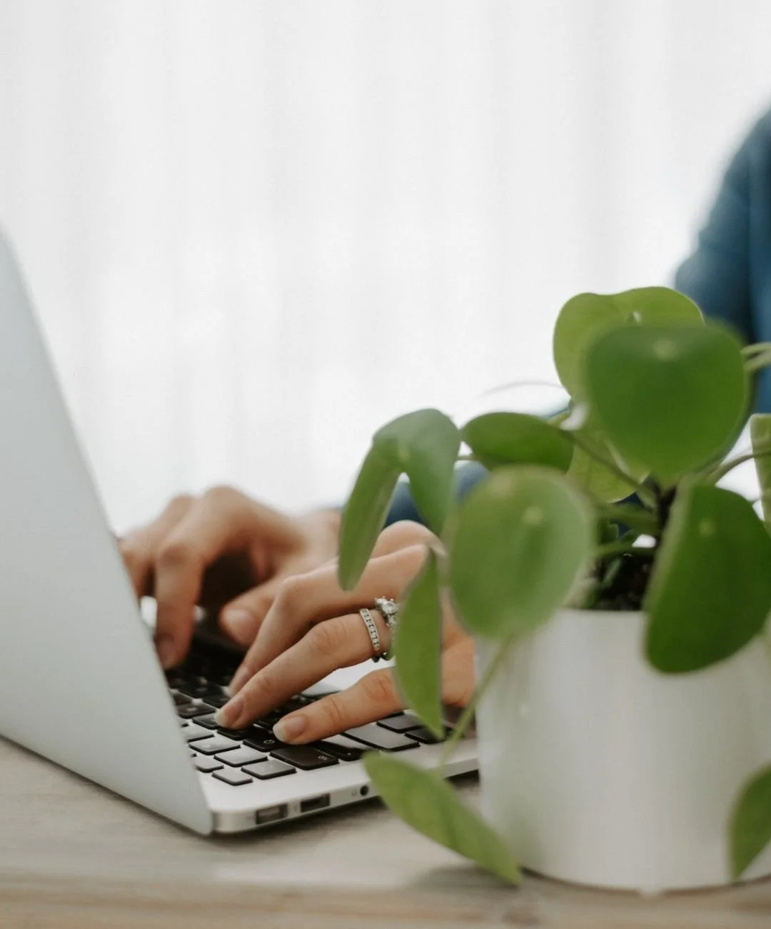 A person typing on a laptop with a potted plant in the foreground.
