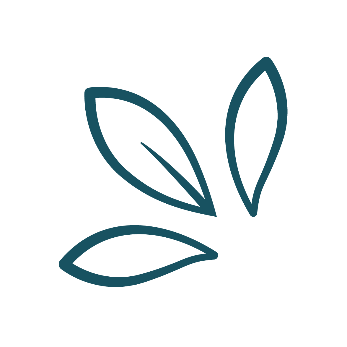 Outline of a plant with three leaves, depicted in a minimalist style.