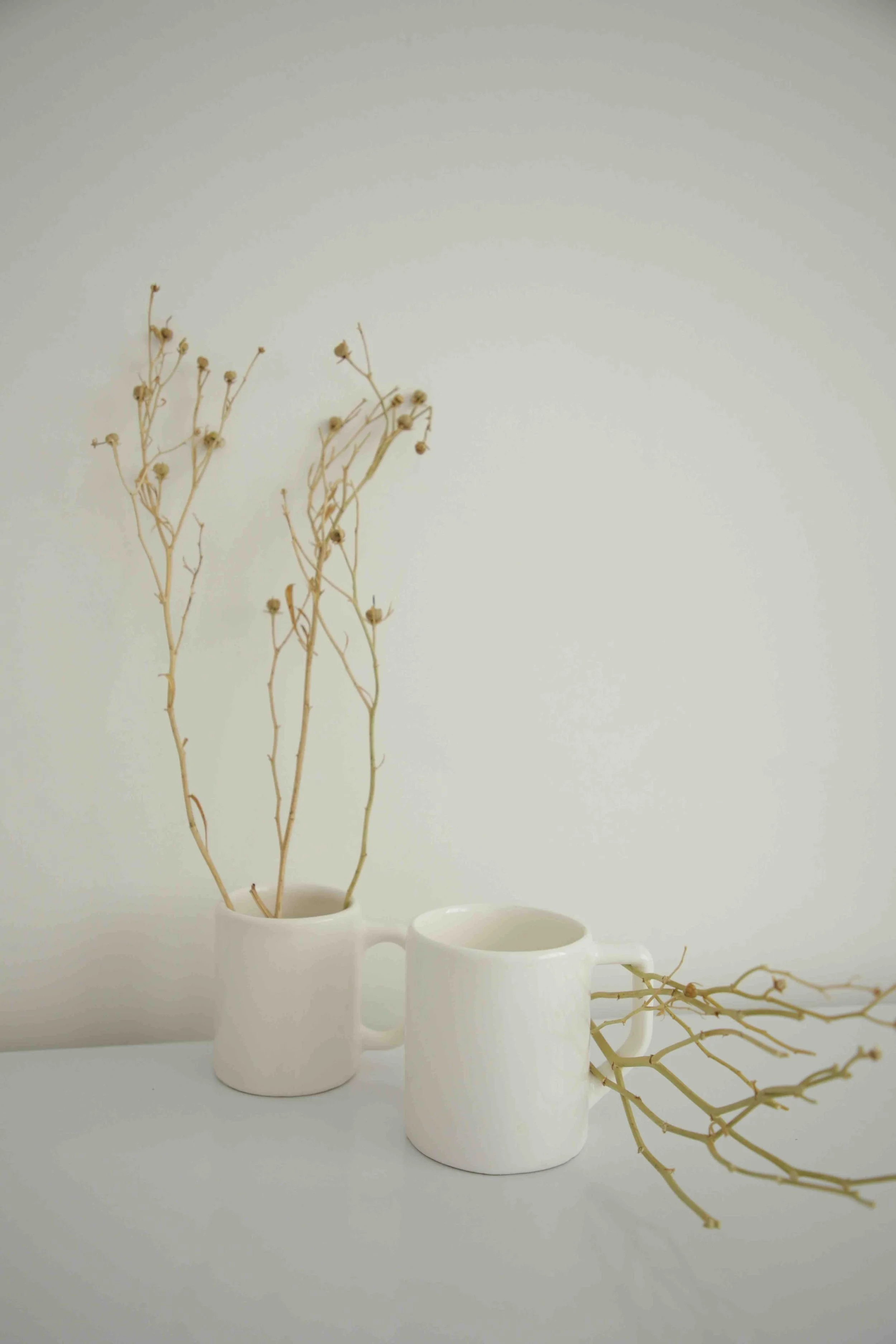 Three white mugs with dried plant stems and branches arranged inside and around them on a white surface and light gray background.