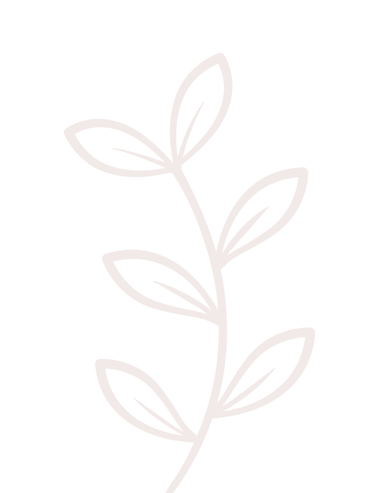Outline drawing of a sprig with leaves and a small flower at the top, on a black background.