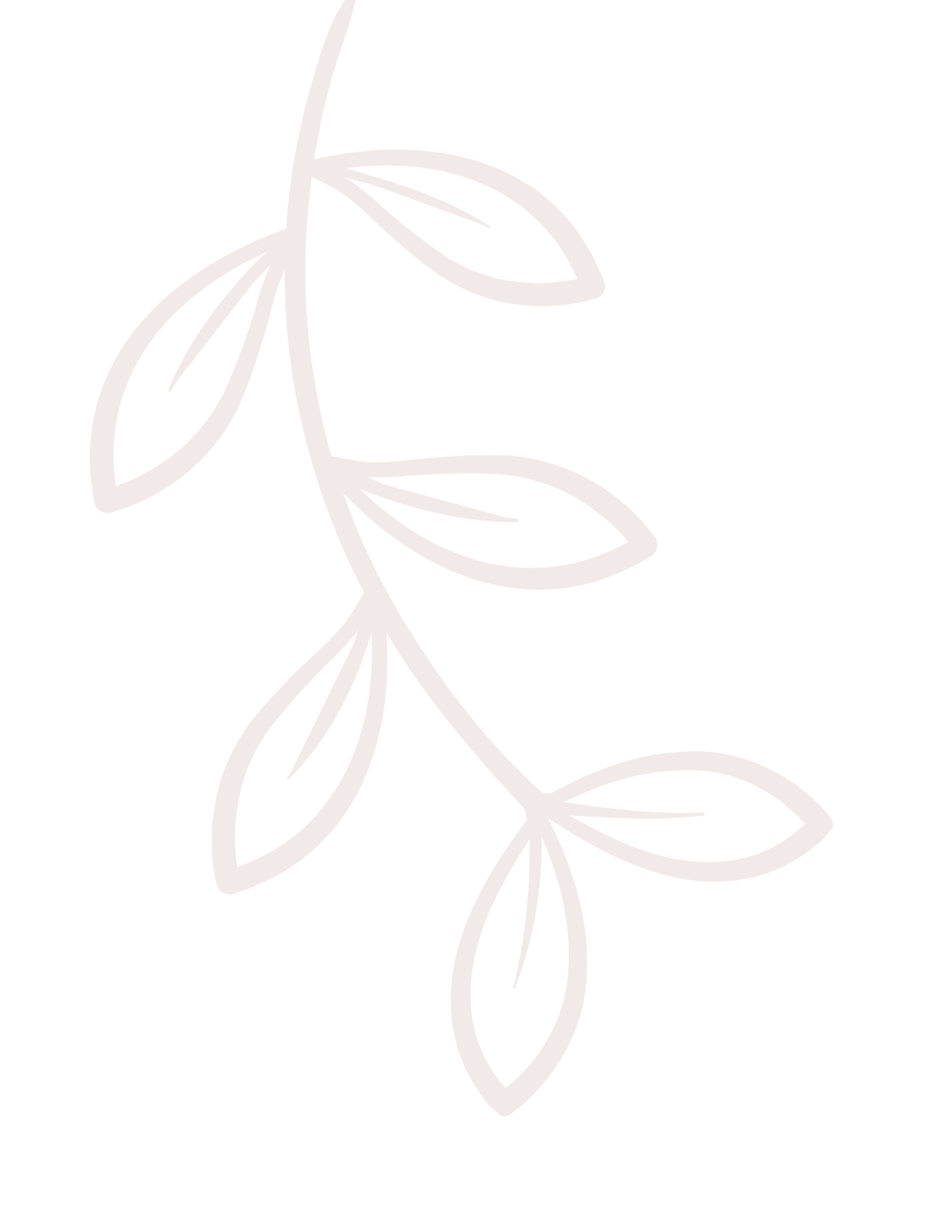 Outline drawing of a plant branch with several leaves on a black background.