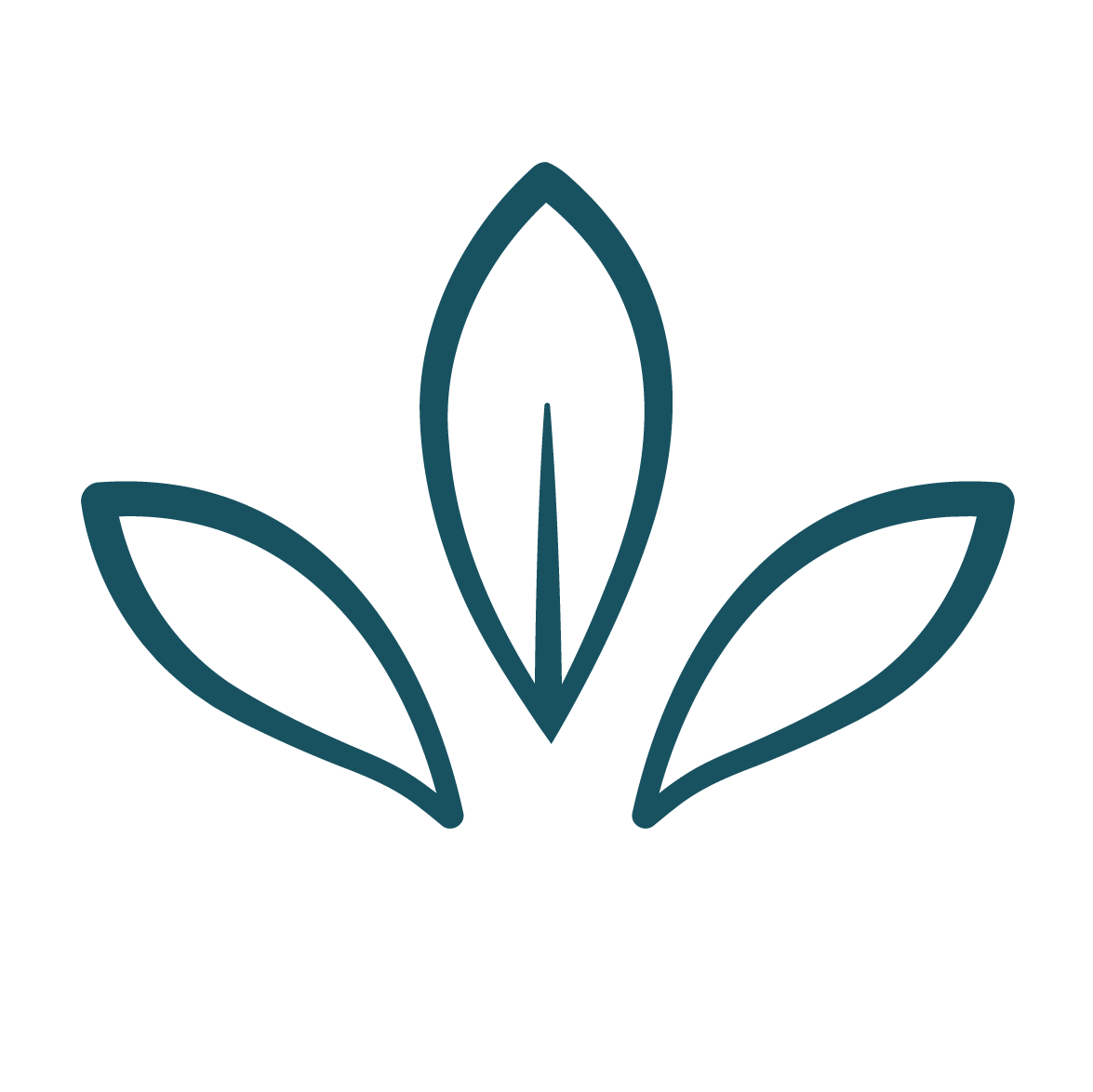 Minimalist outline of a butterfly with three leaves, all in dark teal.