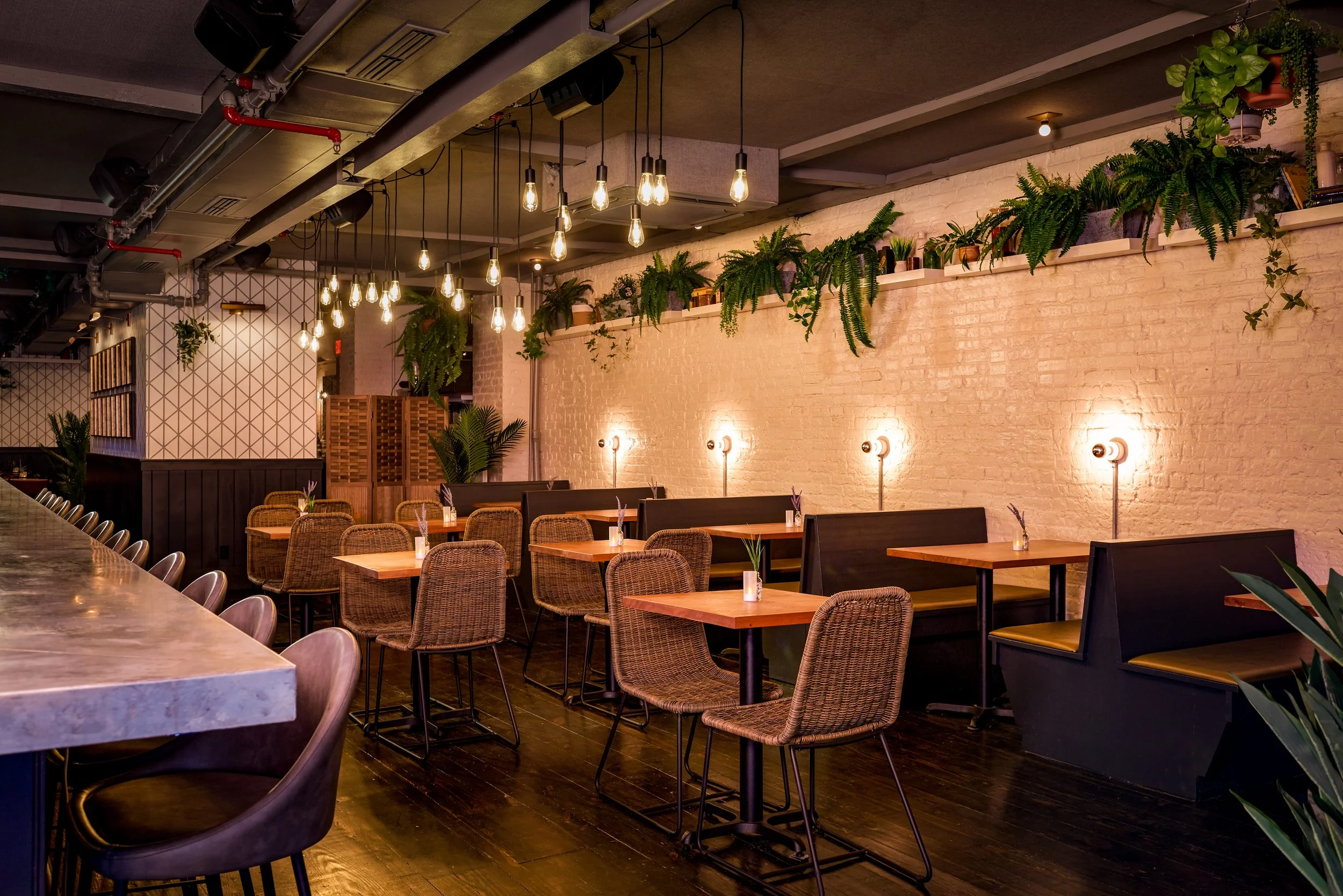 MACE Interior_Exterior-489-C1-Edit.jpg