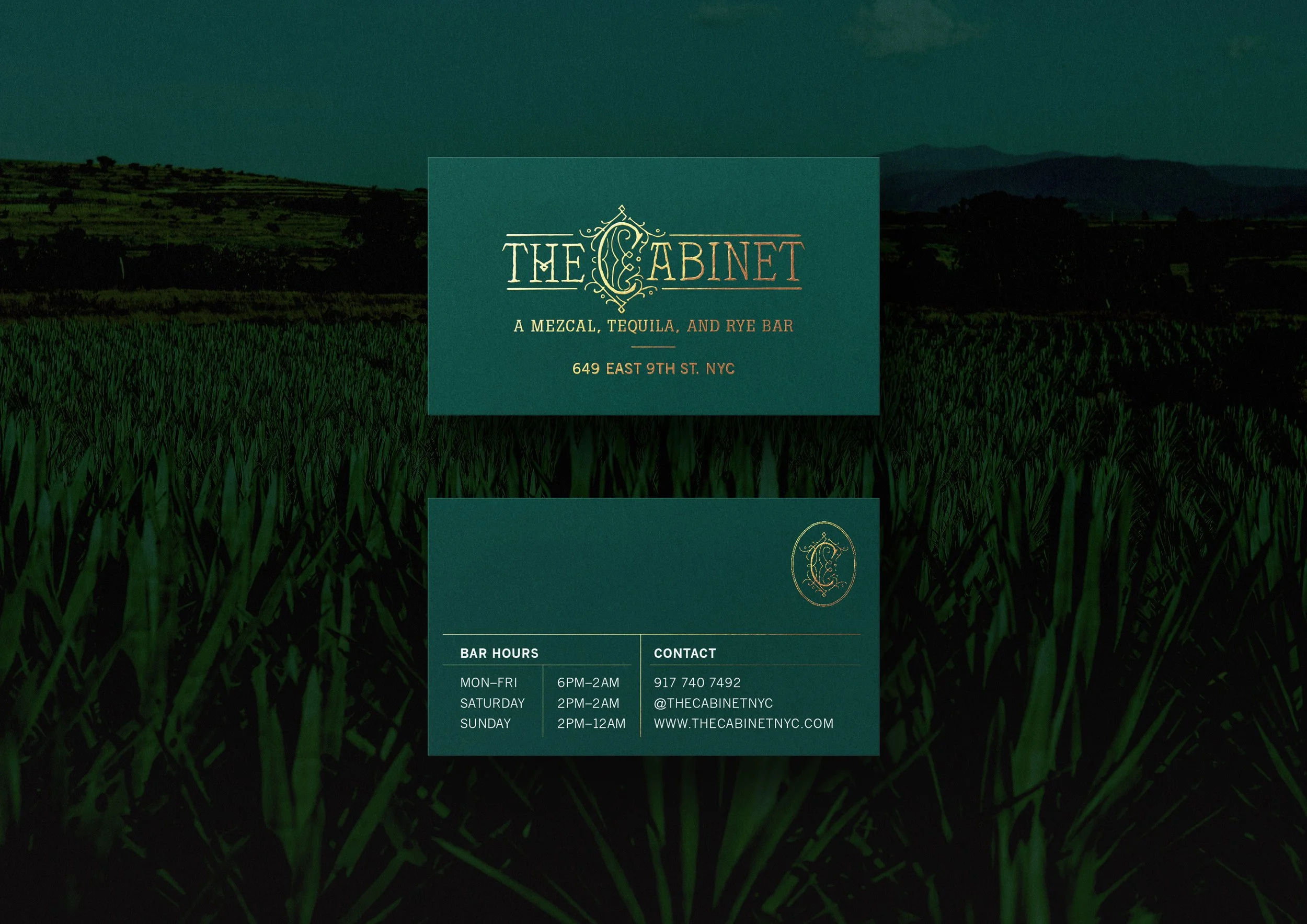 Cabinet-buscard-mockup-2.jpg