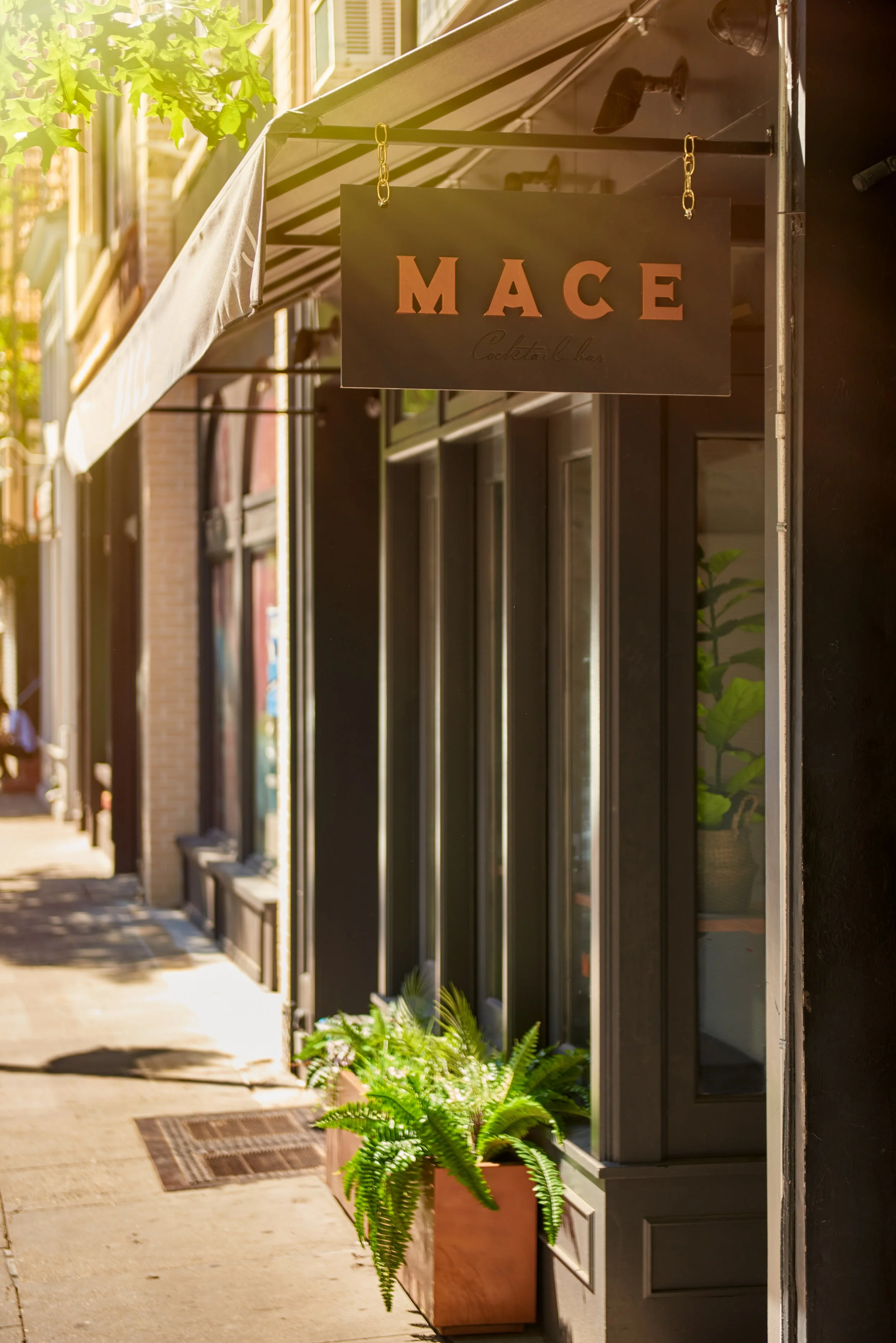 MACE Exterior-JohnShyloski--281-C1-Edit.jpg