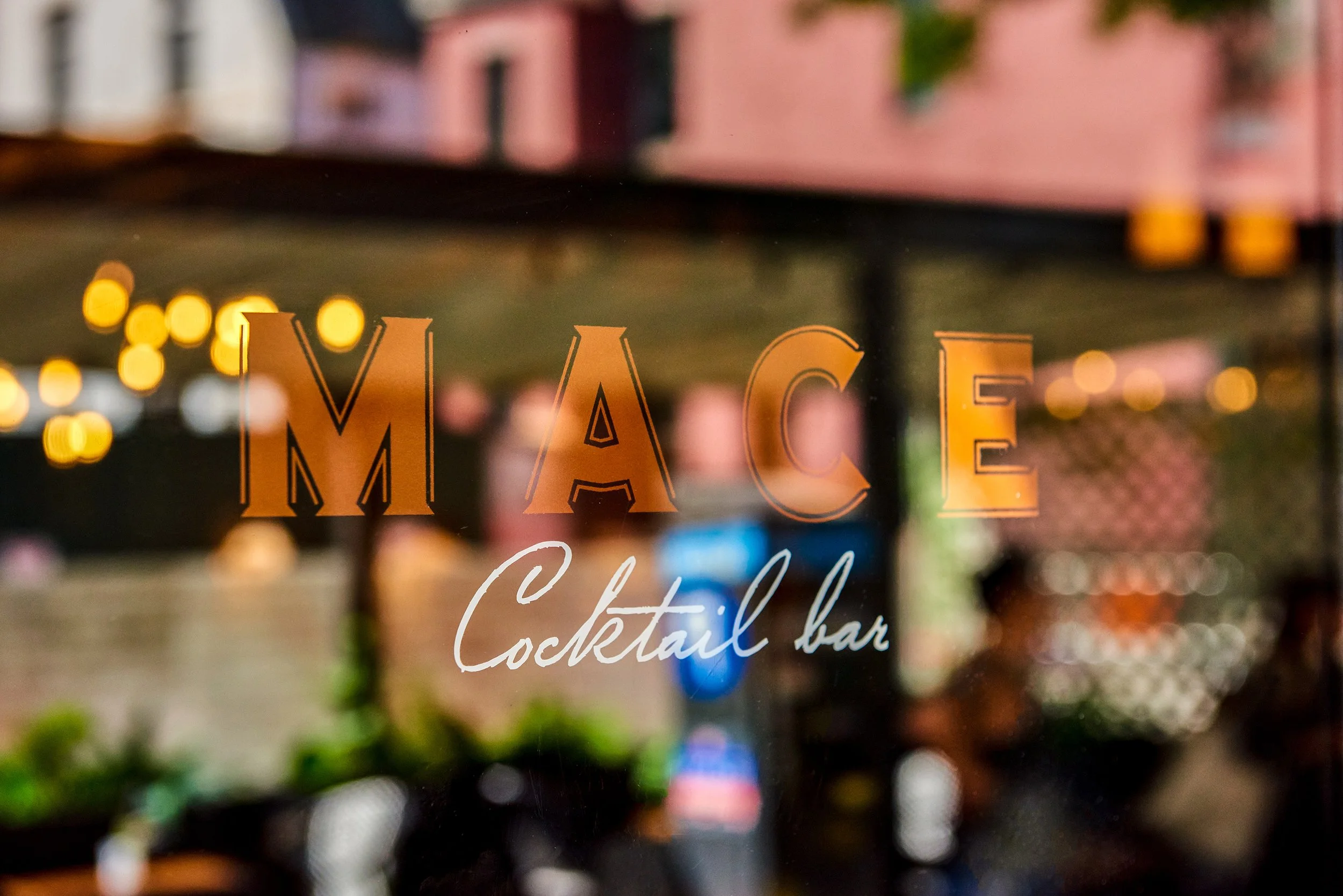 MACE Exterior-JohnShyloski--311-C1-Edit_sm.jpg