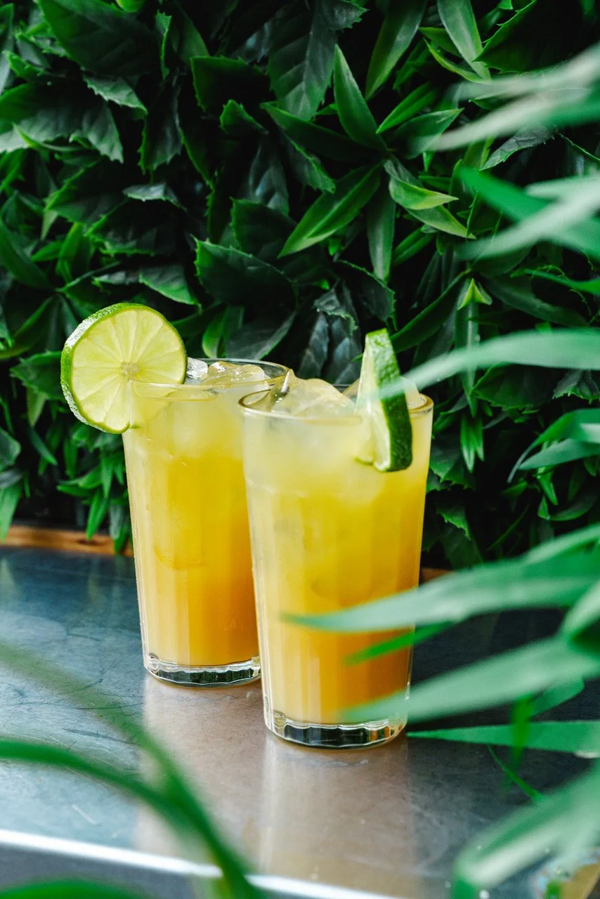 Two glasses of yellow citrus drink garnished with lime slices, on a metal surface surrounded by green leafy plants.