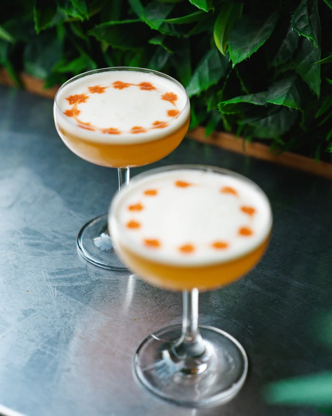 Two cocktails in coupe glasses with cream-colored foam and orange decorative dots on top, placed on a metallic surface with green foliage in the background.