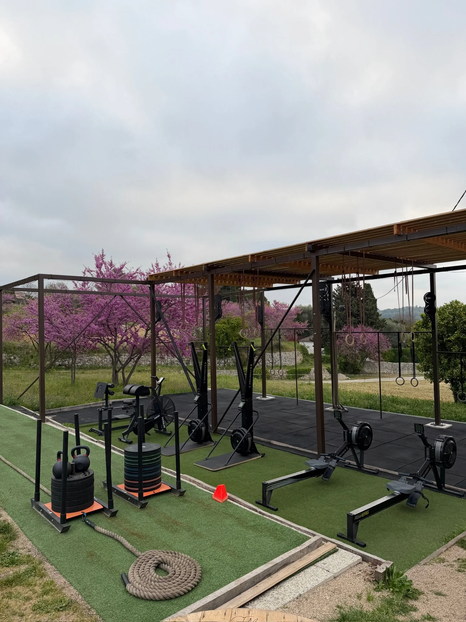 Une structure de musculation extérieure avec divers équipements comme des haltères, des kettlebells, un rameur, une corde d'escalade, et des anneaux, située sur un terrain d'entraînement avec un tapis en herbe artificielle, entourée de cerisiers en fleurs sous un ciel nuageux.