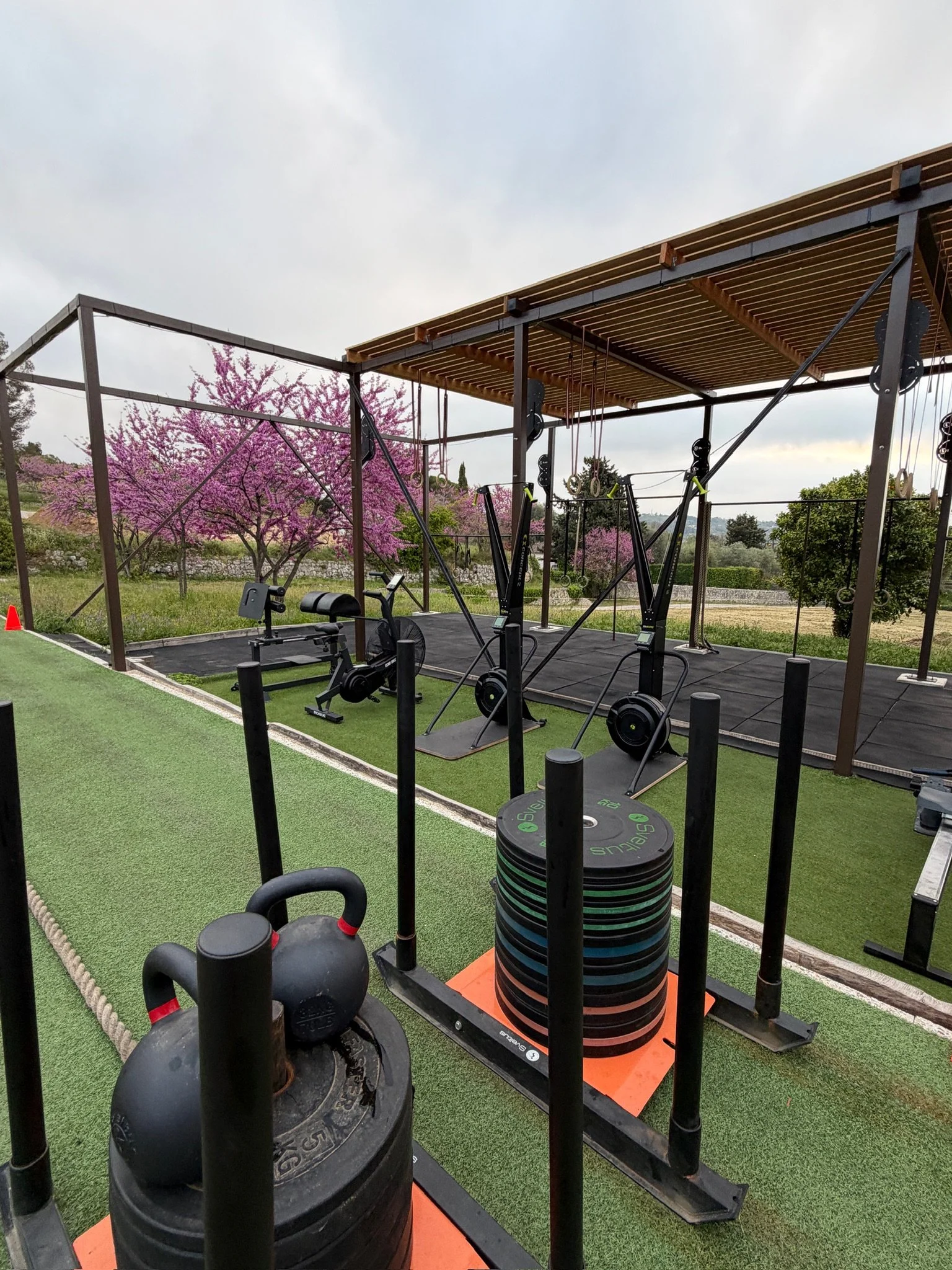 Salle d'entraînement en plein air équipée de poids, kettlebells, appareils de musculation, disques de poids et espace pour exercices, avec des arbres en fleurs rose en arrière-plan.