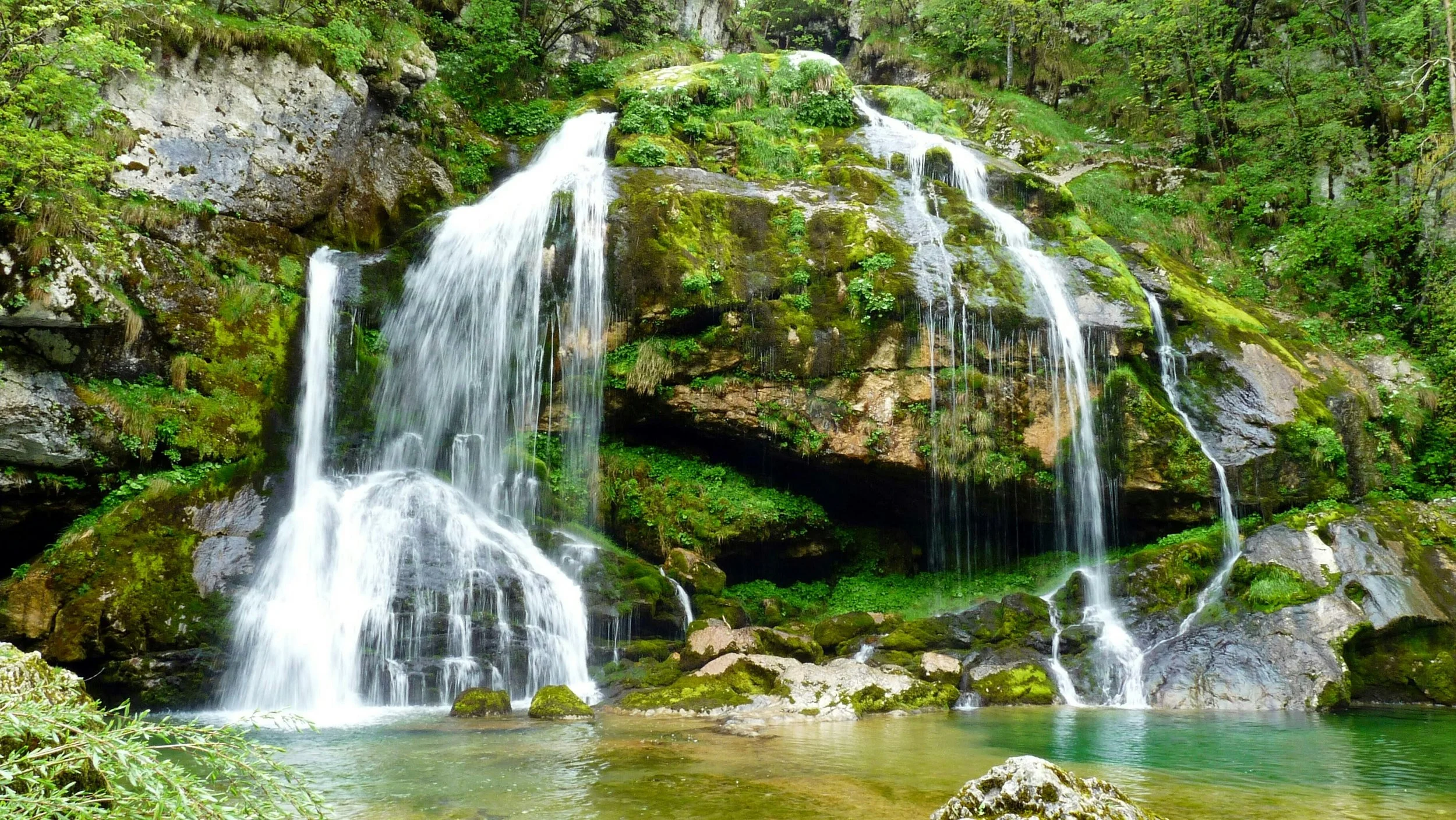 Une cascade d'eau tombant sur des rochers couverts de mousse verte dans une forêt dense.