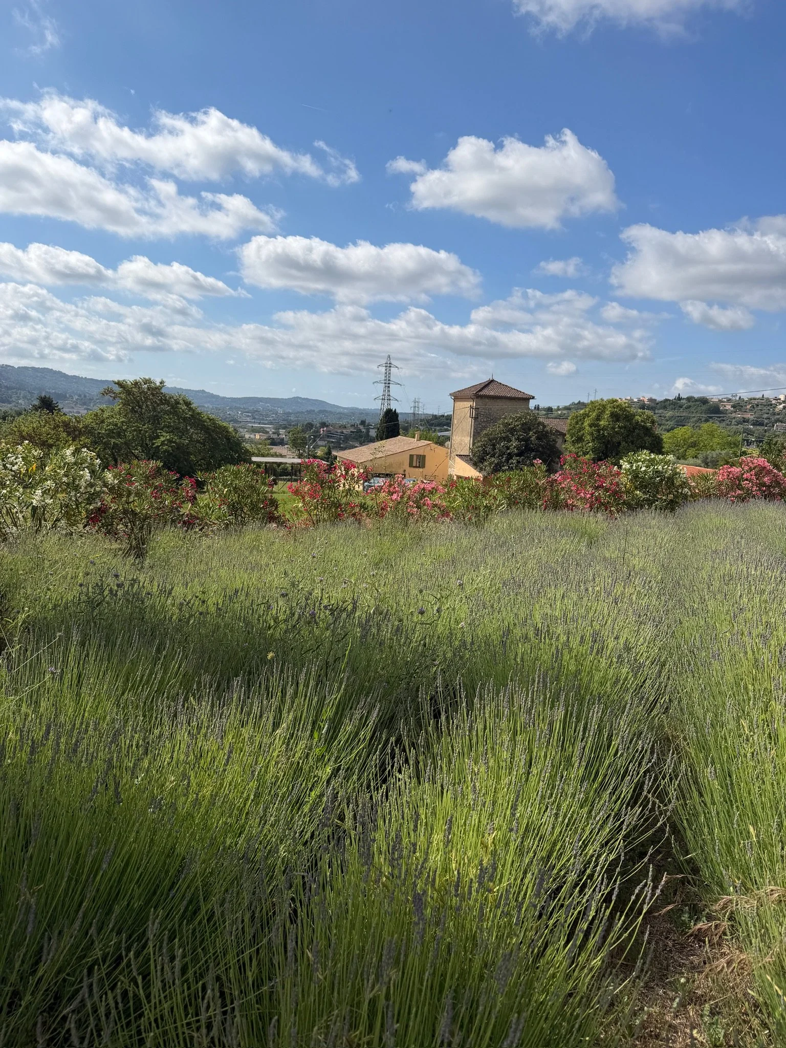 Un paysage rural avec un champ d'herbe verte, des arbres et quelques maisons en arrière-plan, sous un ciel partiellement nuageux.