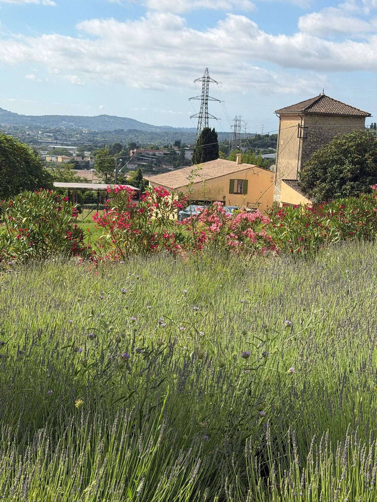 Paysage rural avec des maisons, des panneaux solaires, des arbres et des collines en arrière-plan, sous un ciel bleu avec quelques nuages.