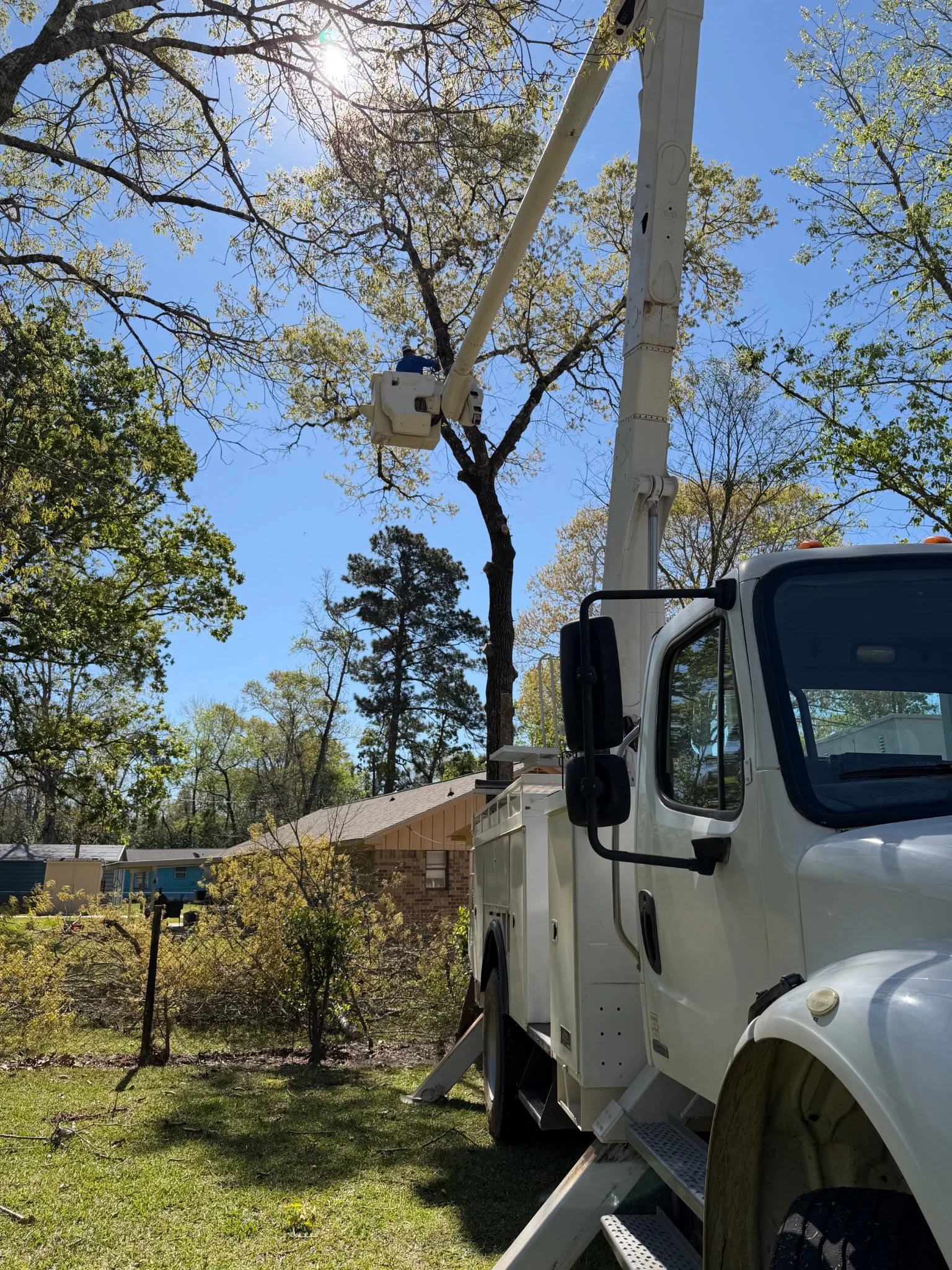 Joey Brown in a bucket lift is trimming tree branches in a residential neighborhood on a sunny day. The truck is parked on the grass beside a house with a brick chimney, and multiple trees surround the area.