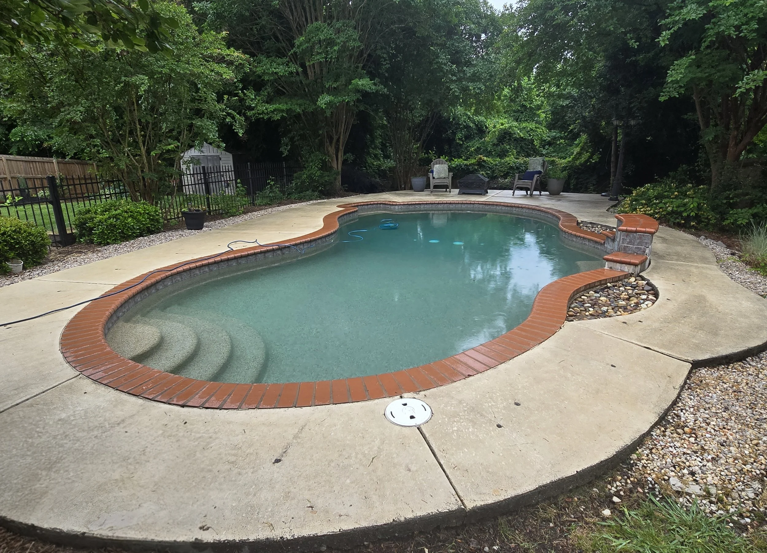 A backyard with a kidney-shaped swimming pool serviced by AB Premium Aqua Solutions, surrounded by a concrete deck, chairs, potted plants, lush green trees, and a black metal fence.