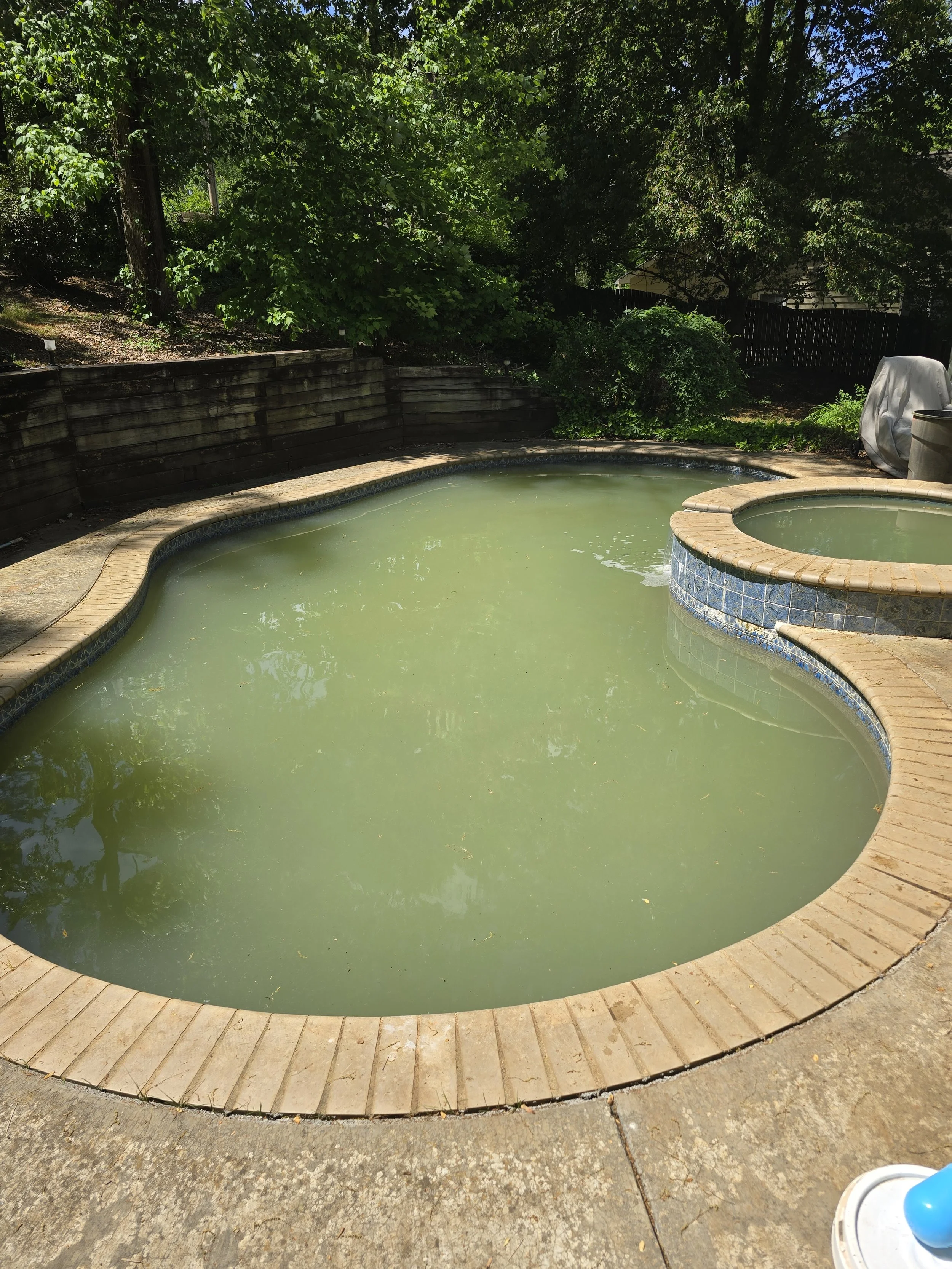 A backyard swimming pool in Charlotte, NC, not yet serviced by AB Premium Aqua Solutions, with cloudy green water, surrounded by a brick and concrete patio, with trees and a fenced yard in the background.