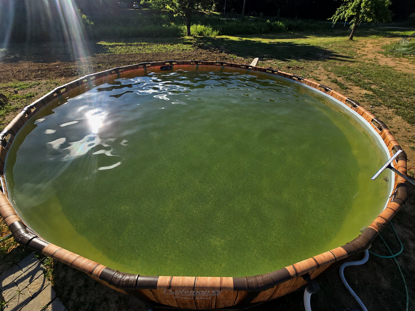 A round above-ground pool filled with murky green water outdoors, before being serviced by AB Premium Aqua Solutions, with sunlight reflecting off the surface.