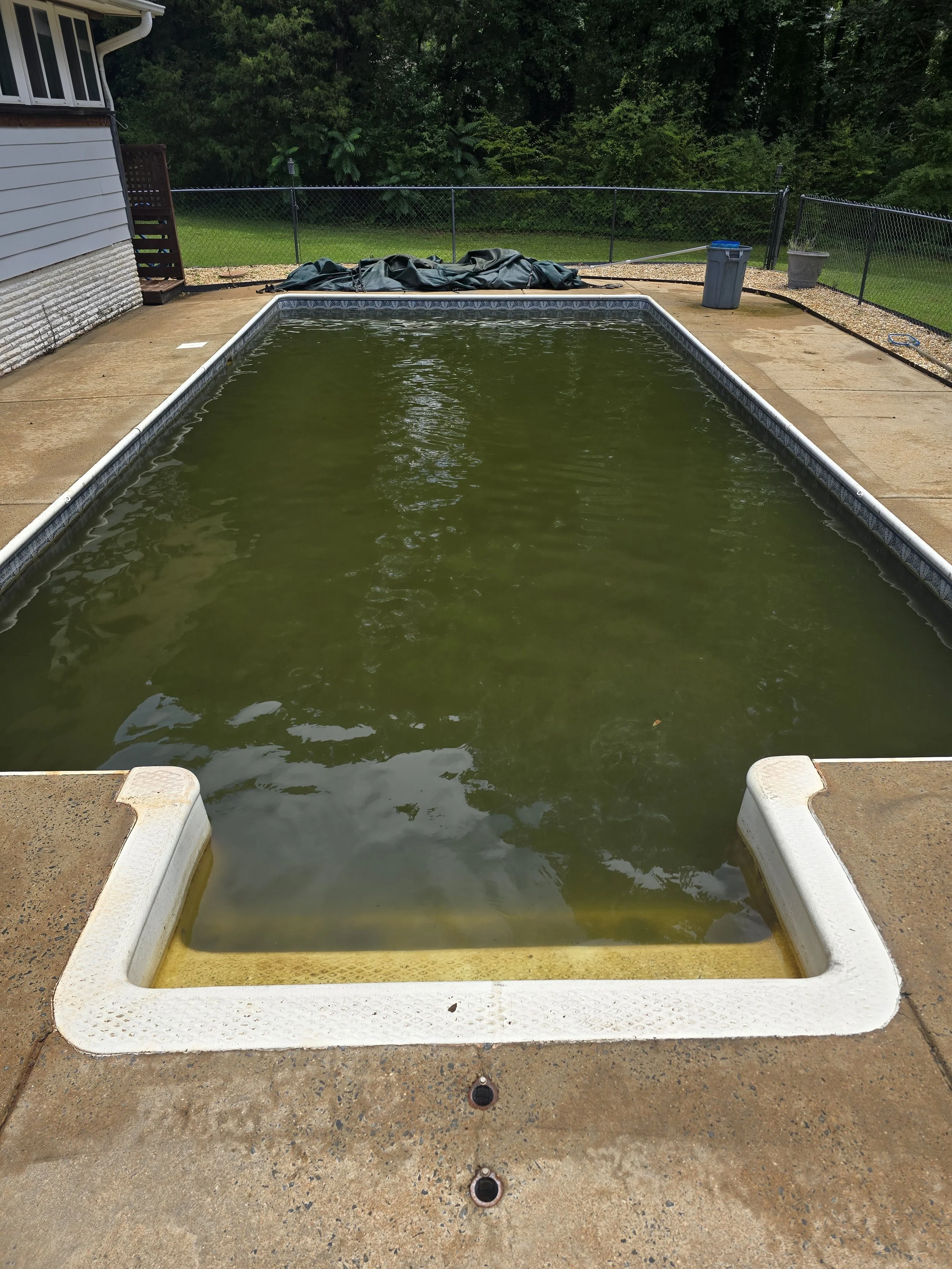 An outdoor swimming pool filled with greenish, algae-covered water, before being serviced by AB Premium Aqua Solutions, surrounded by a concrete deck, with a black chain-link fence and green trees in the background.