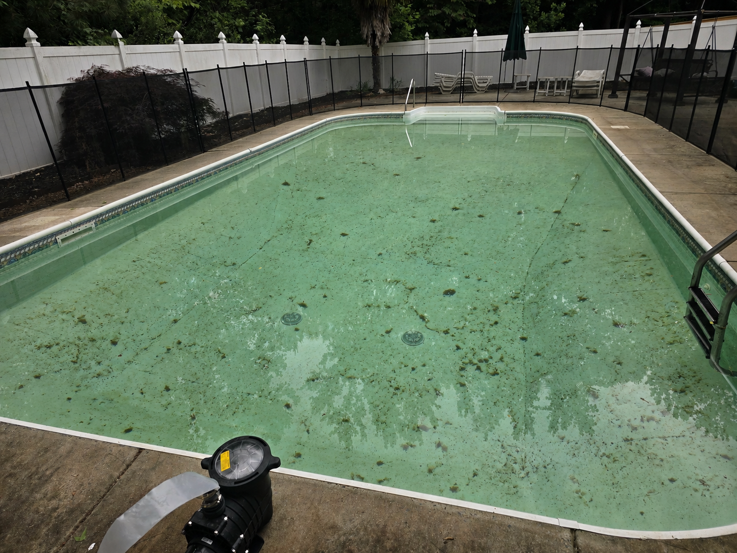 Dirty swimming pool with leaves and debris before being serviced by AB Premium Aqua Solutions, surrounded by a concrete deck, with lounge chairs, a table, and umbrellas in the background, enclosed by a white fence.