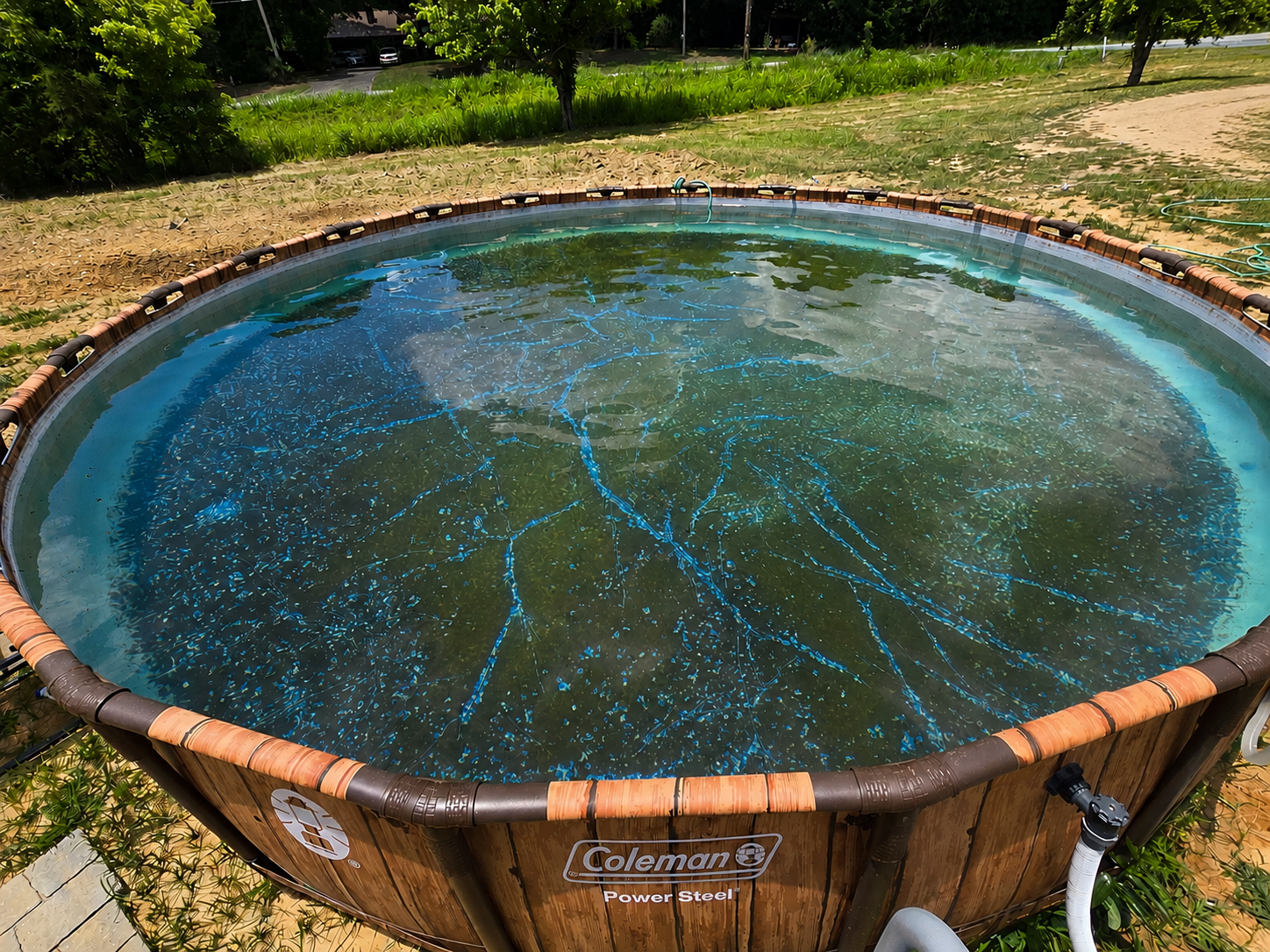 A round above-ground pool filled with murky green water outdoors, before being serviced by AB Premium Aqua Solutions, with sunlight reflecting off the surface.
